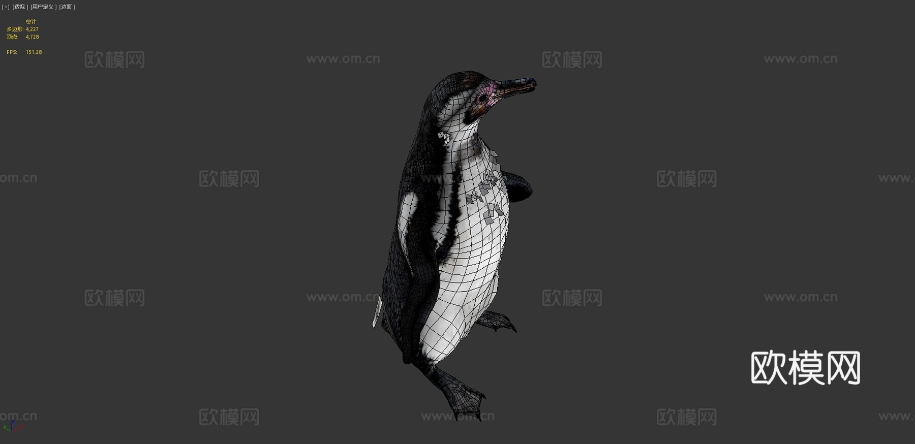 企鹅3d模型