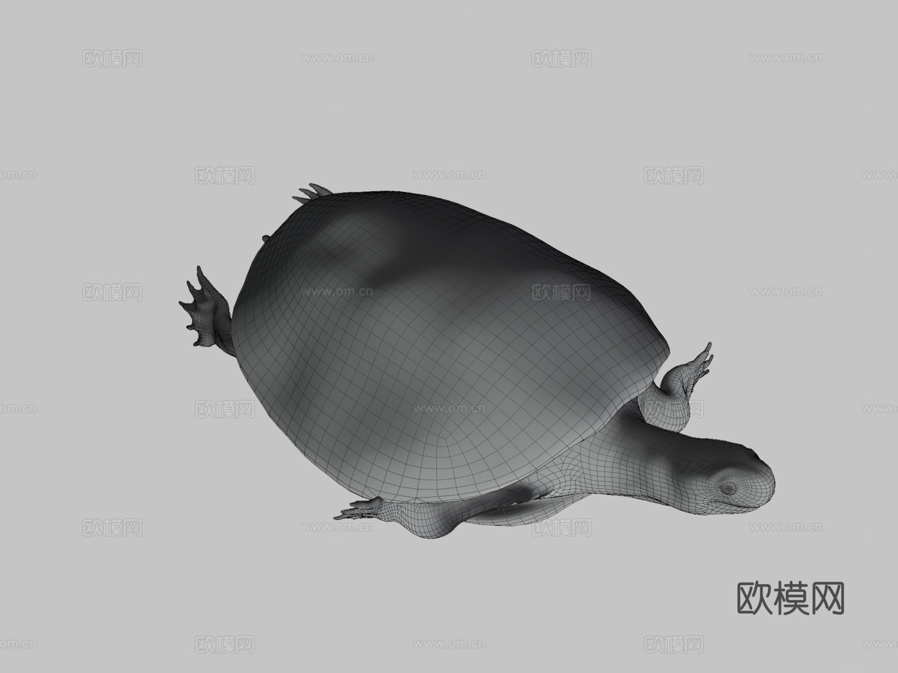 A型号-东部锦龟3d模型