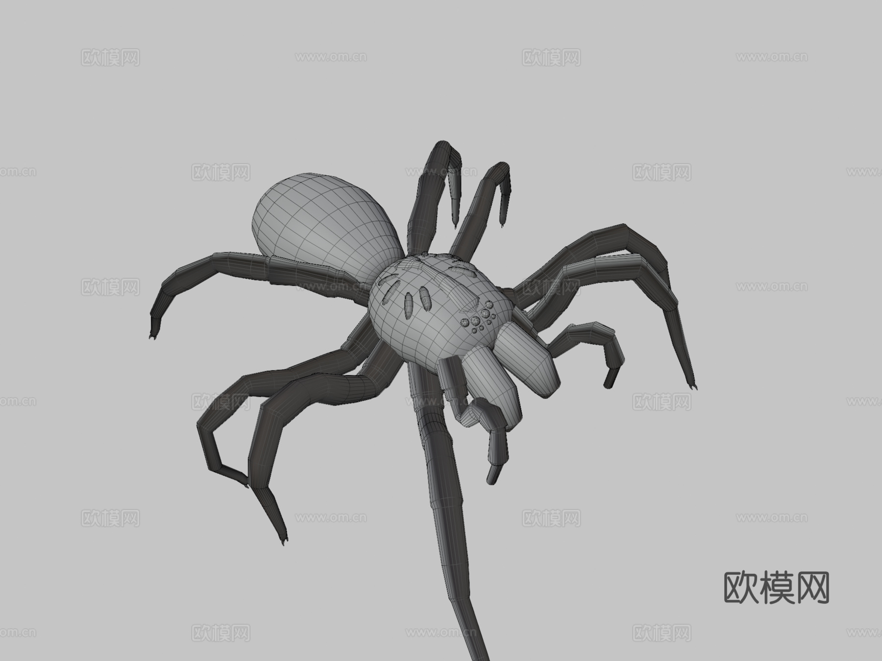 恐怖蜘蛛3d模型