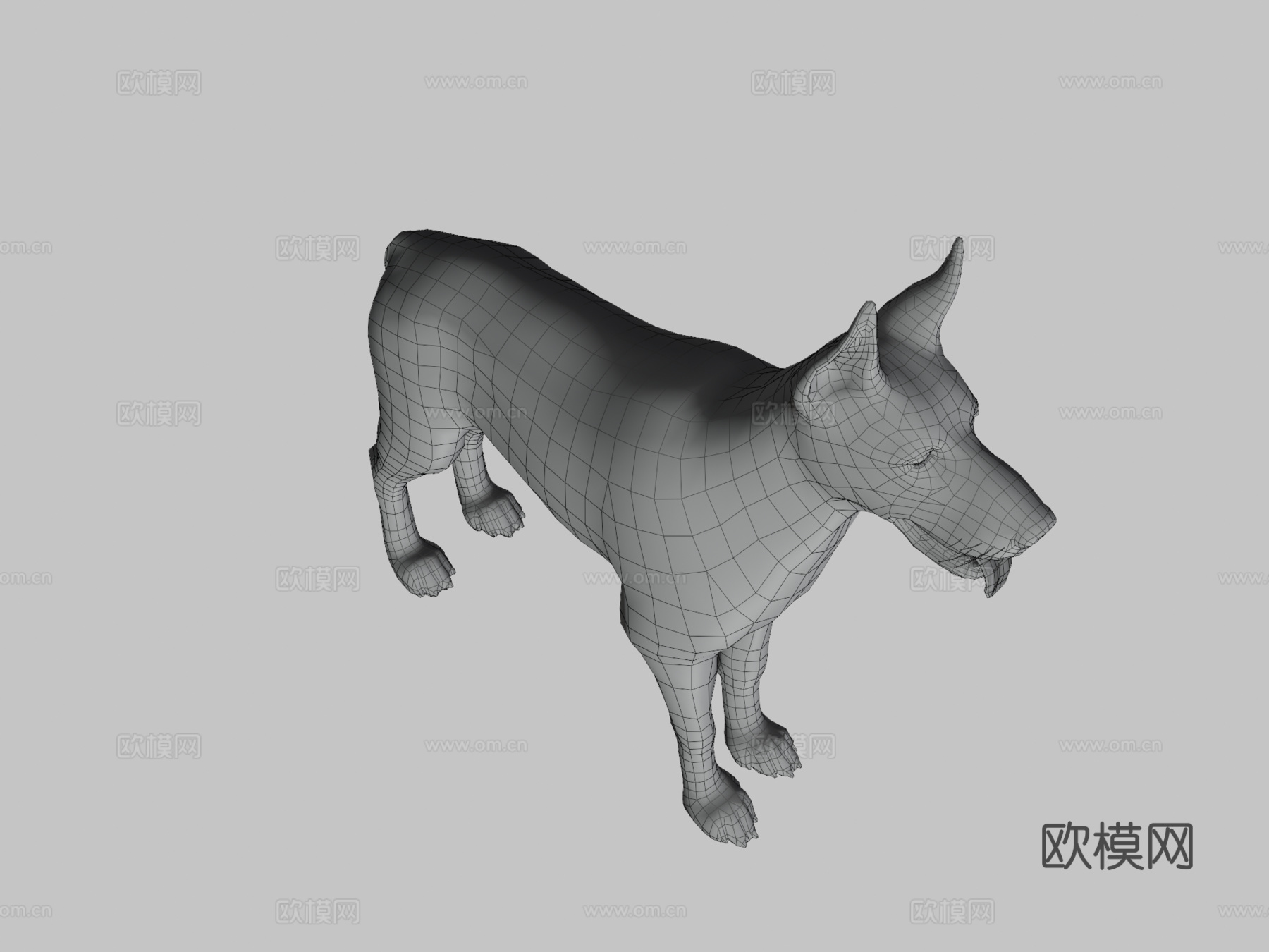 狗-杜宾犬3d模型