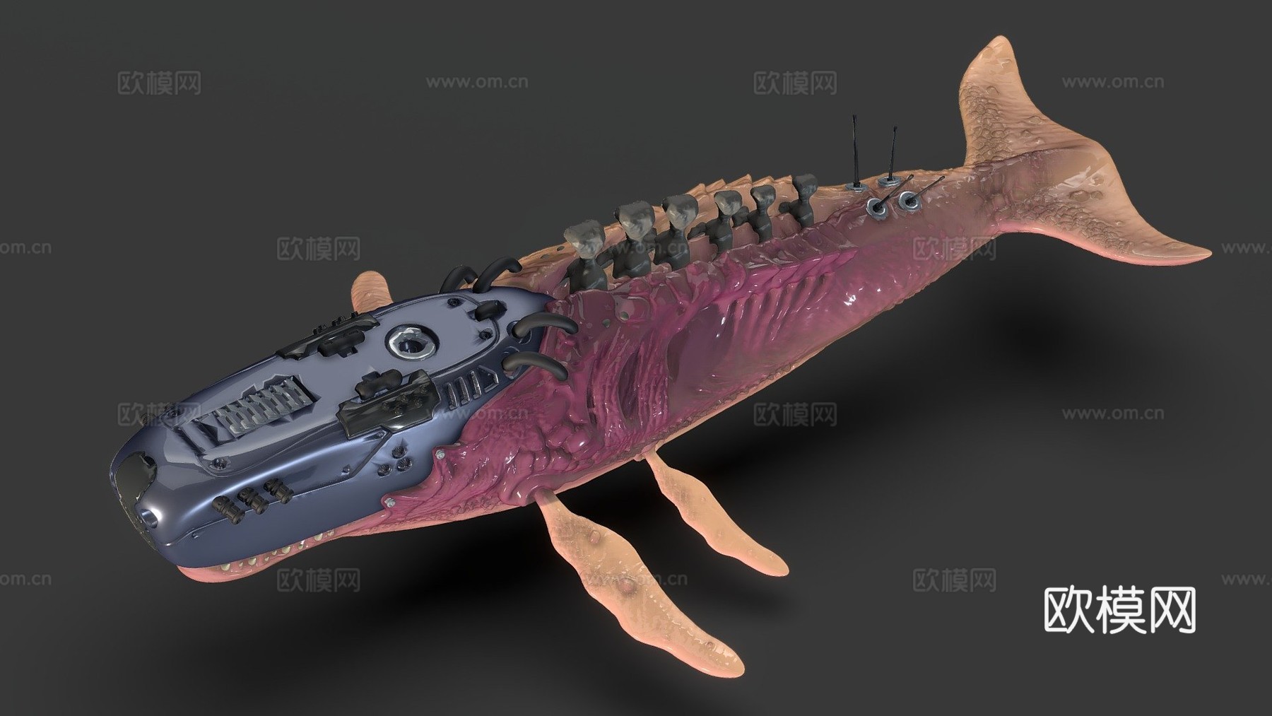 生物机械鲸鱼3d模型