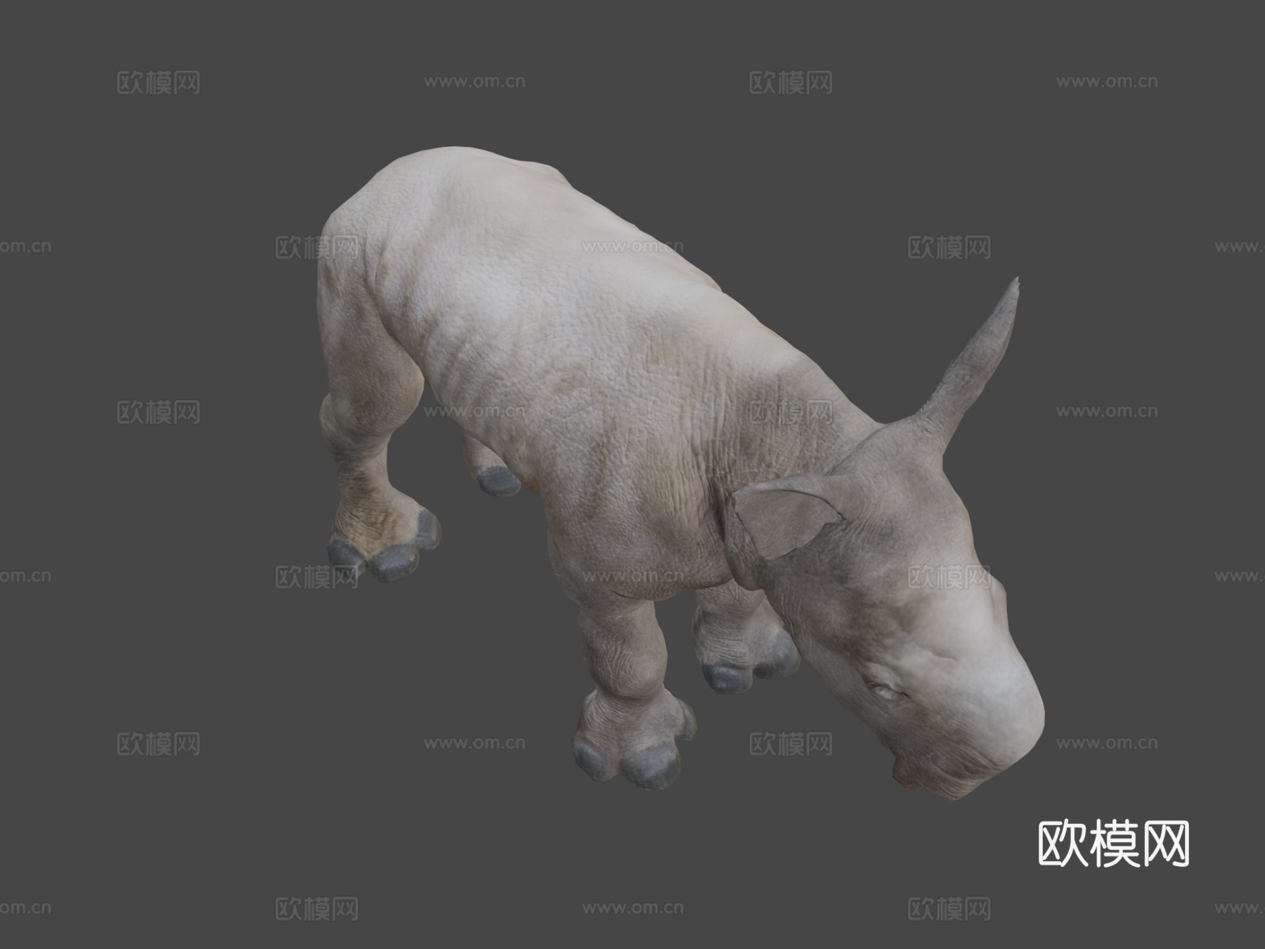 白犀牛宝宝静态姿势三角化3d模型
