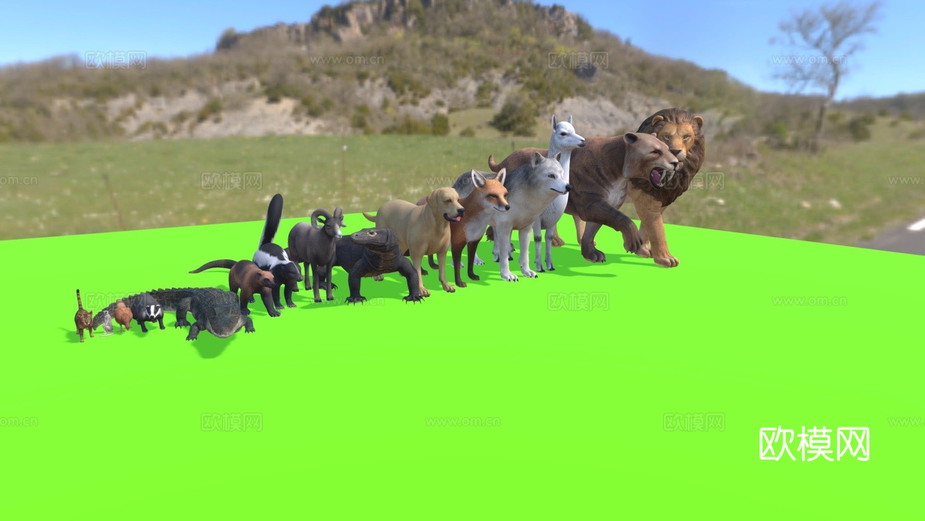 小动物包3d模型