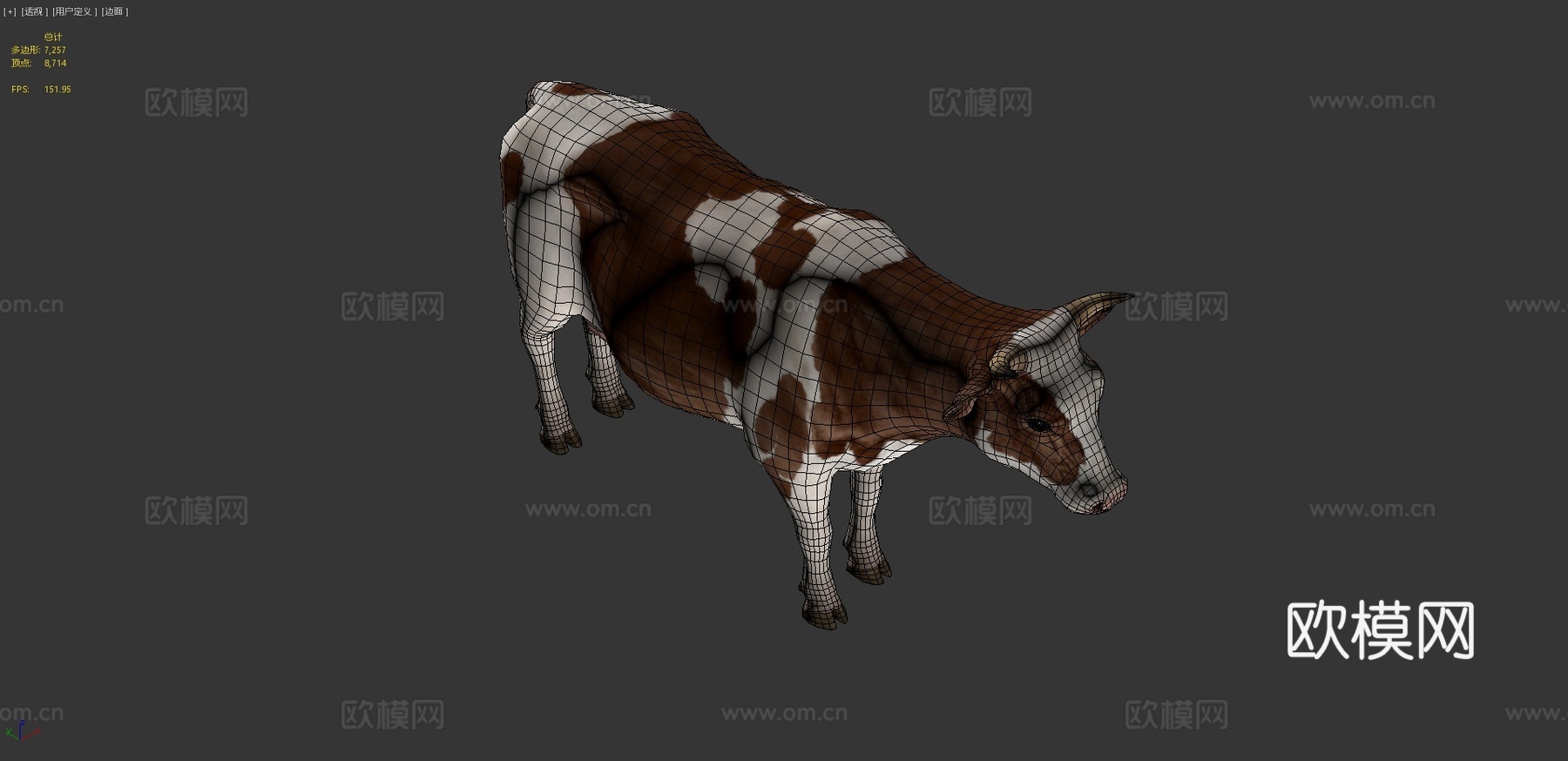 牛动画3d模型