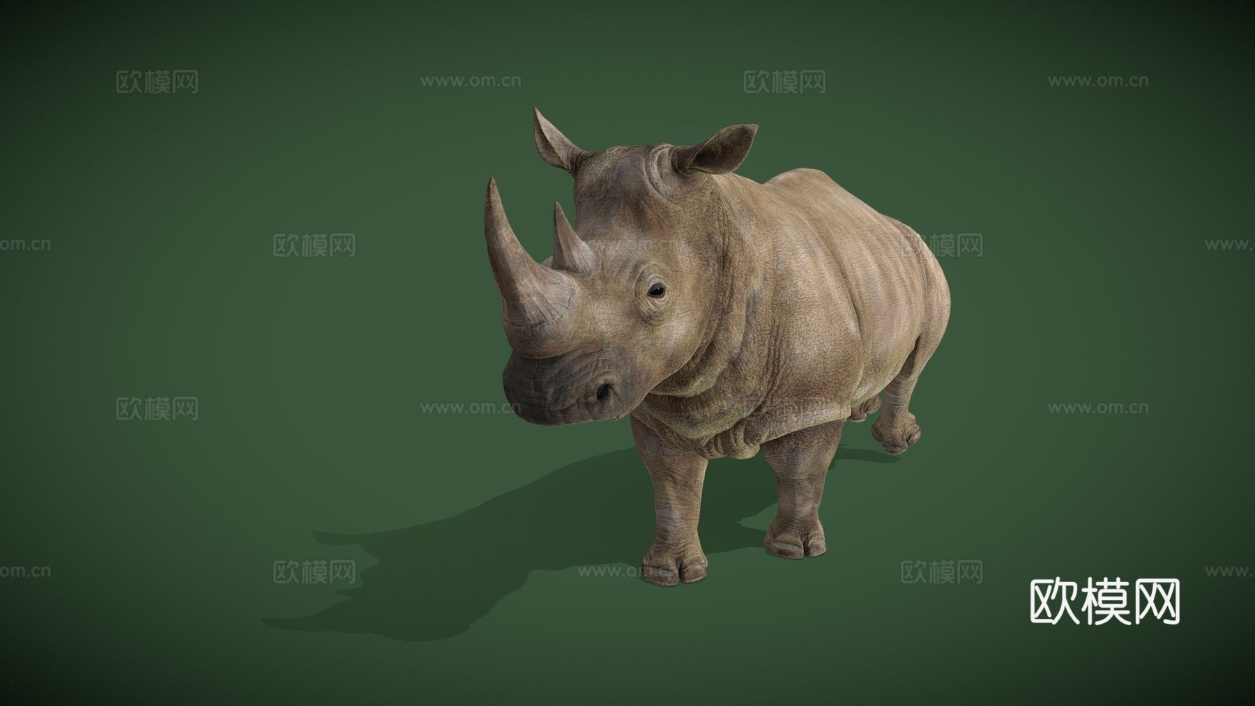 动画3D灰色犀牛奔跑循环3d模型