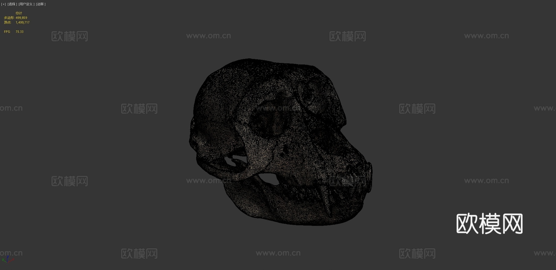 猕猴头骨3d模型