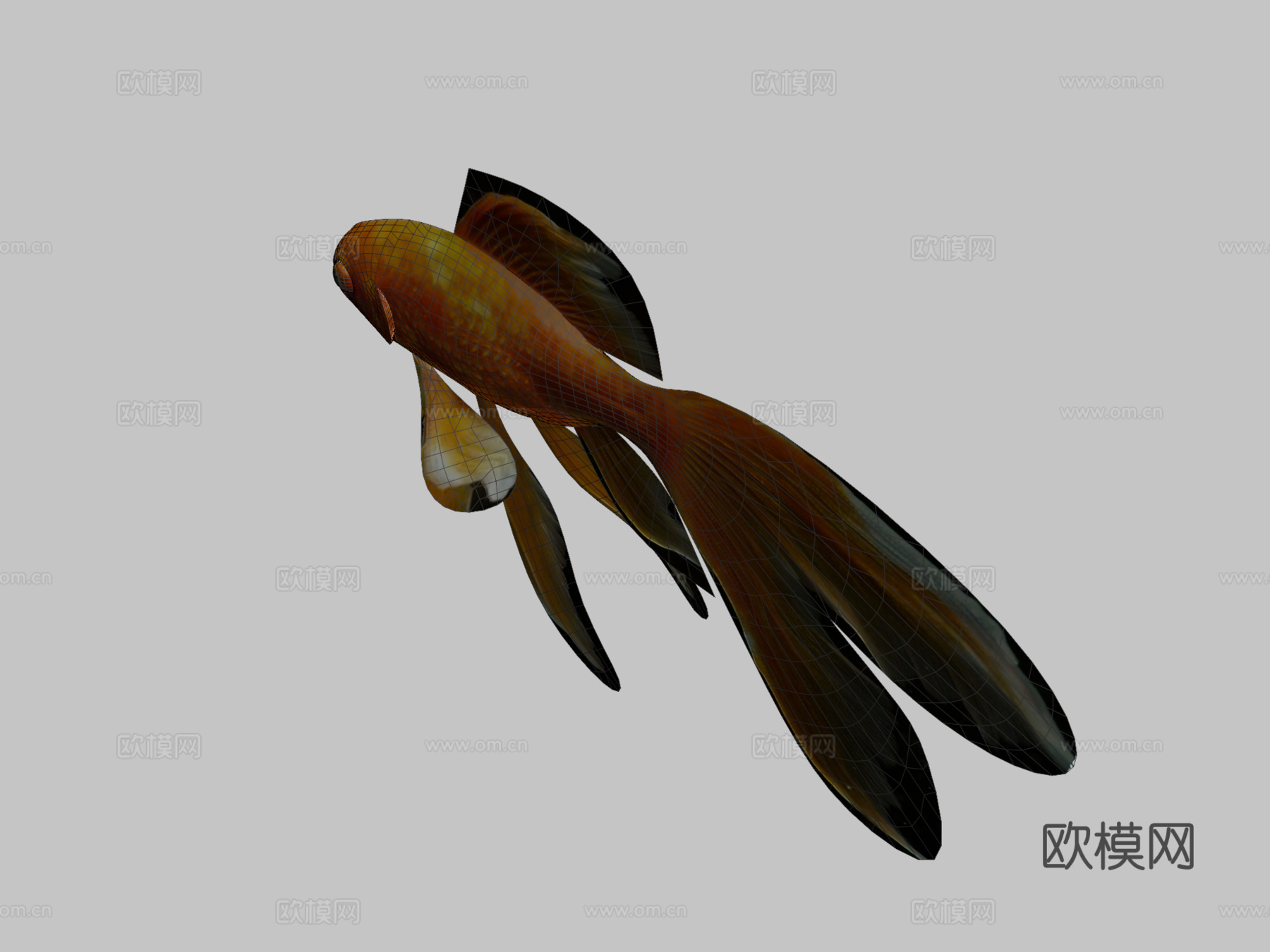 金鱼3d模型