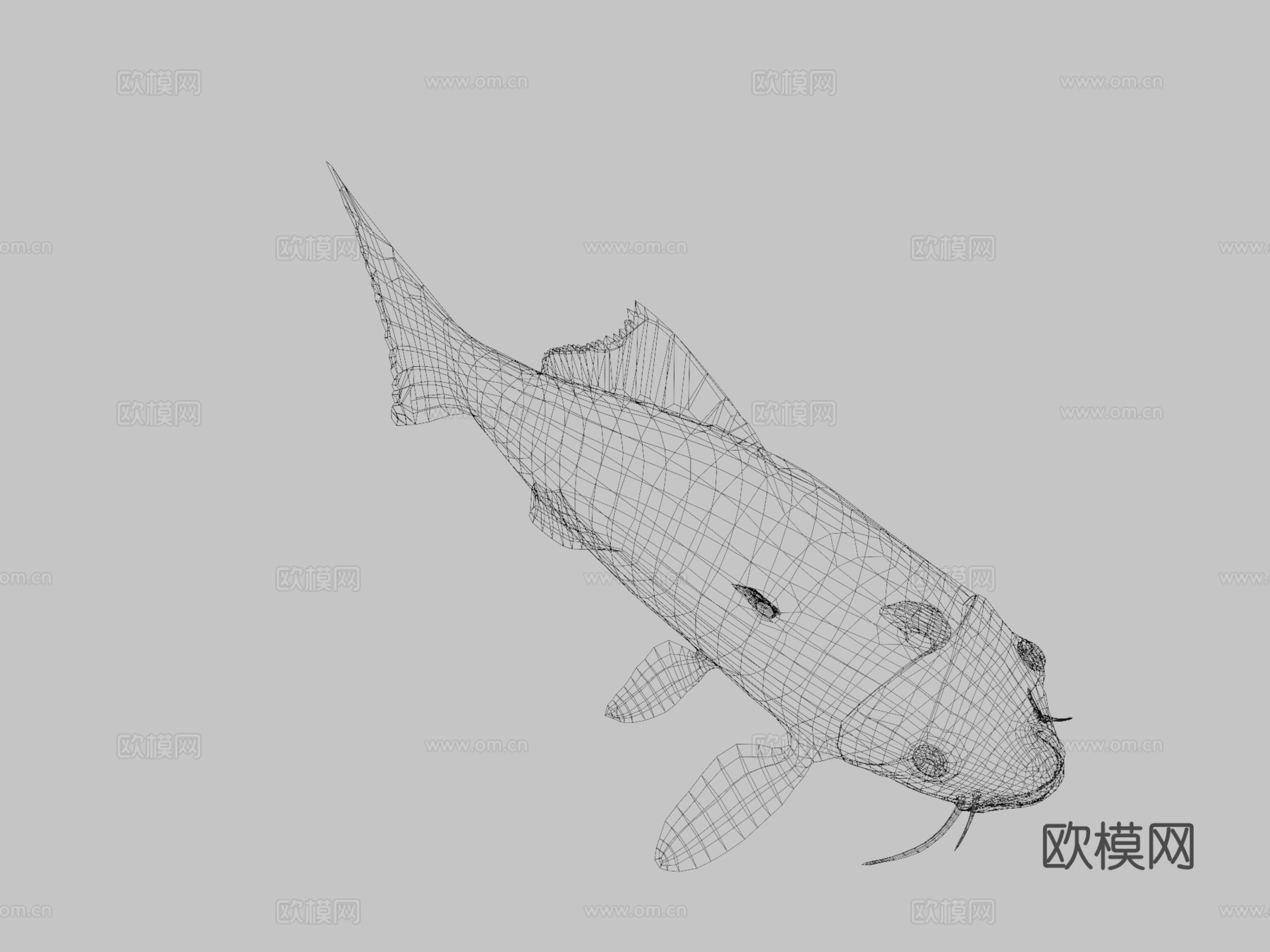 锦鲤3d模型