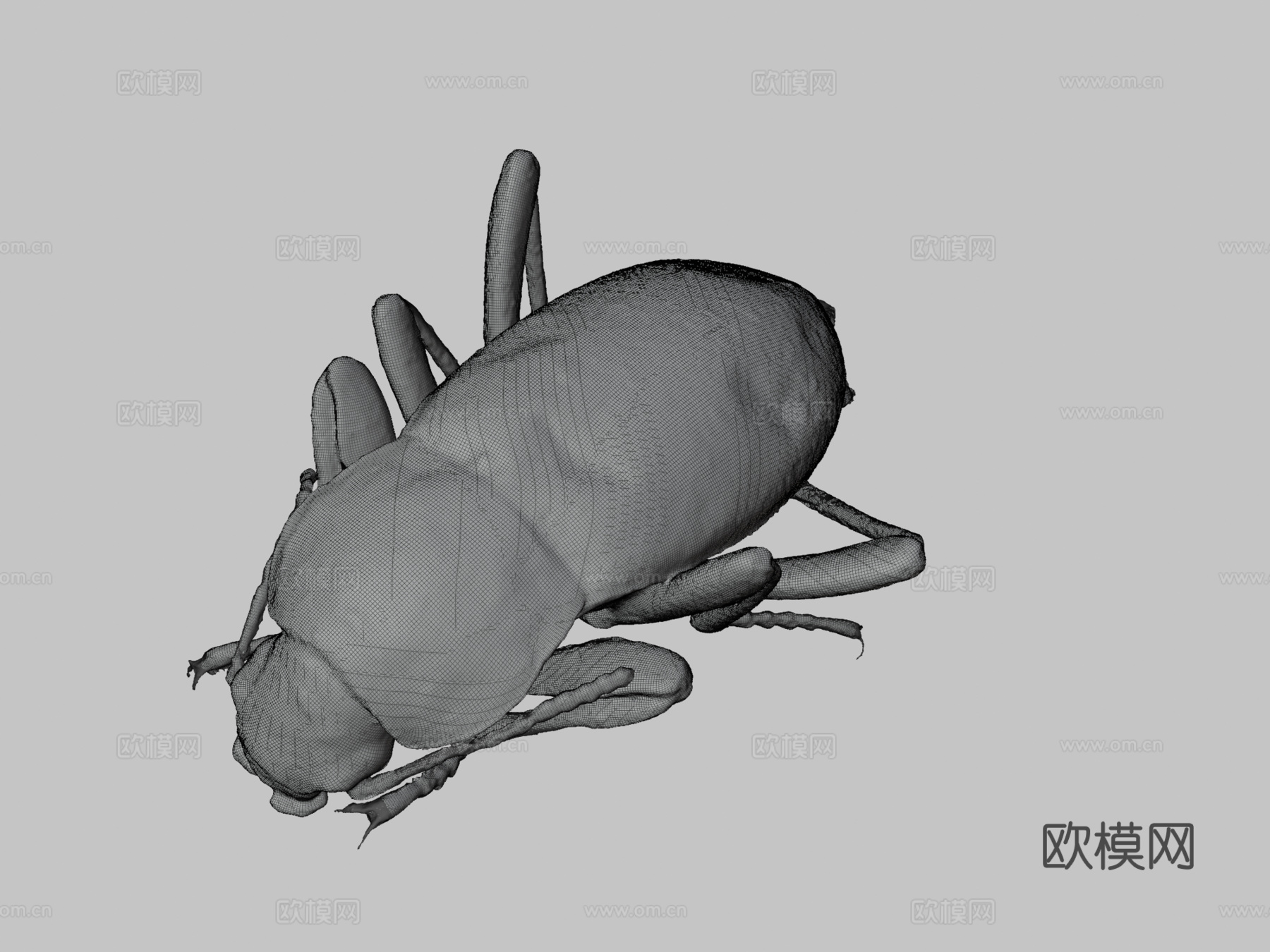 死亡步行虫3d模型