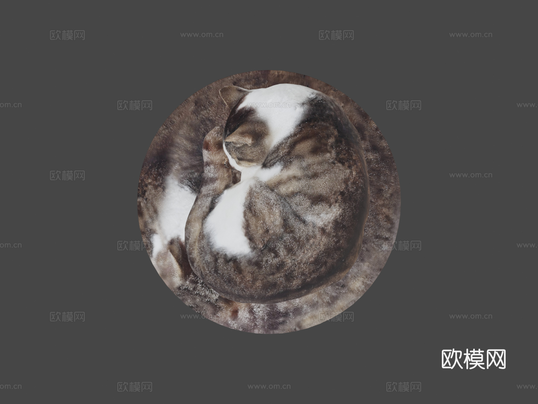 垫子上睡觉的猫3d模型