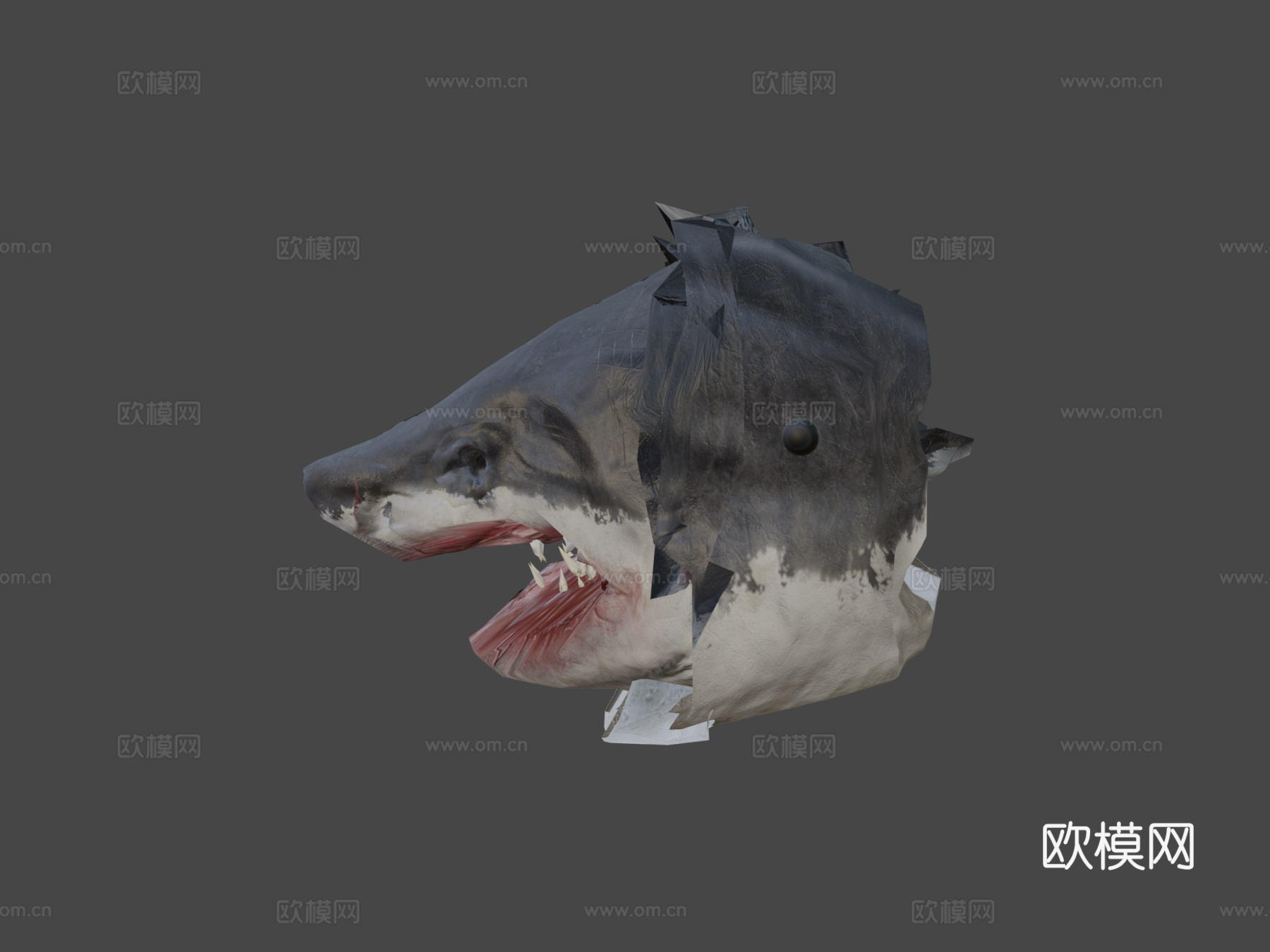 白鲨3d模型