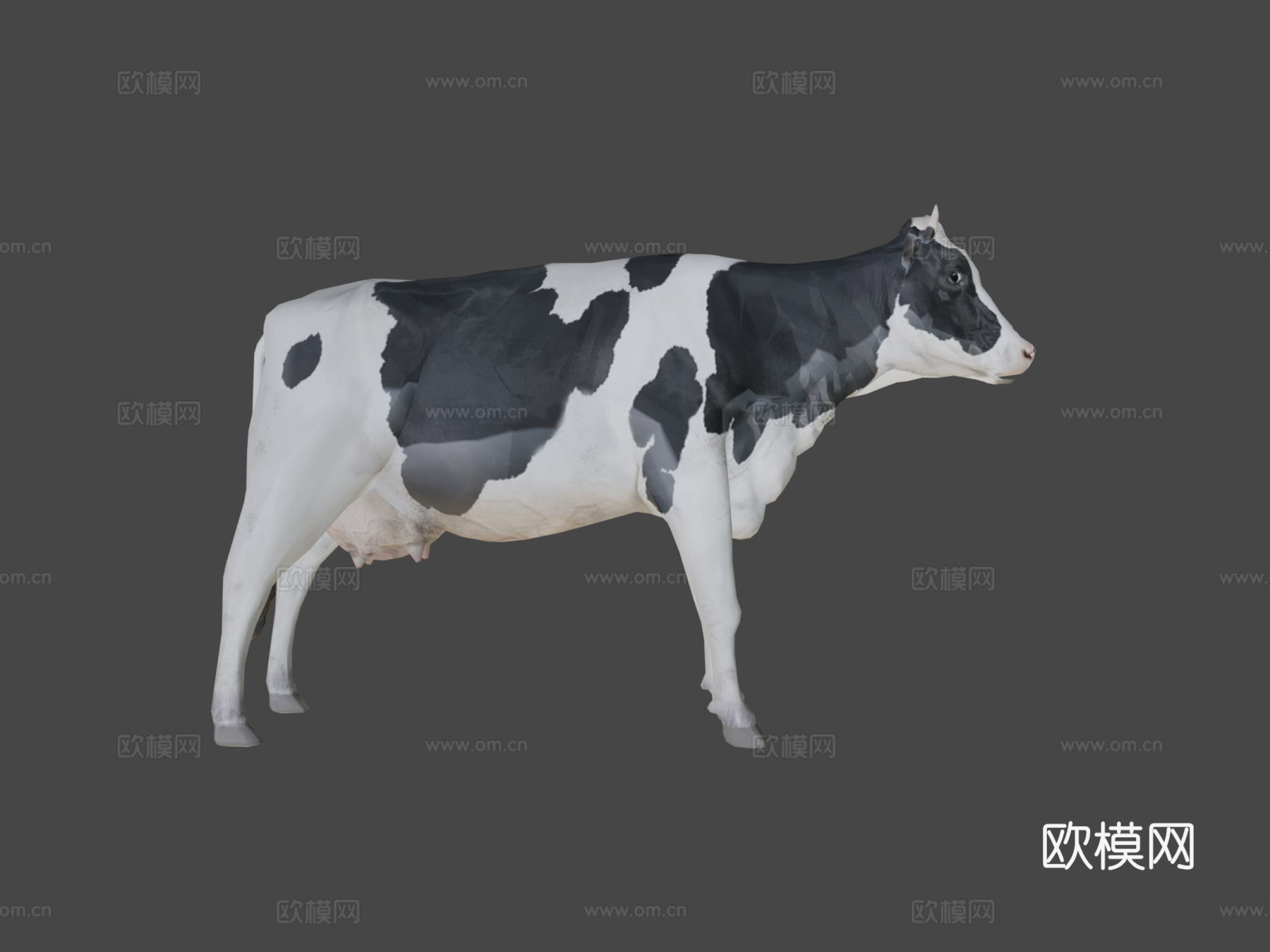 奶牛3d模型