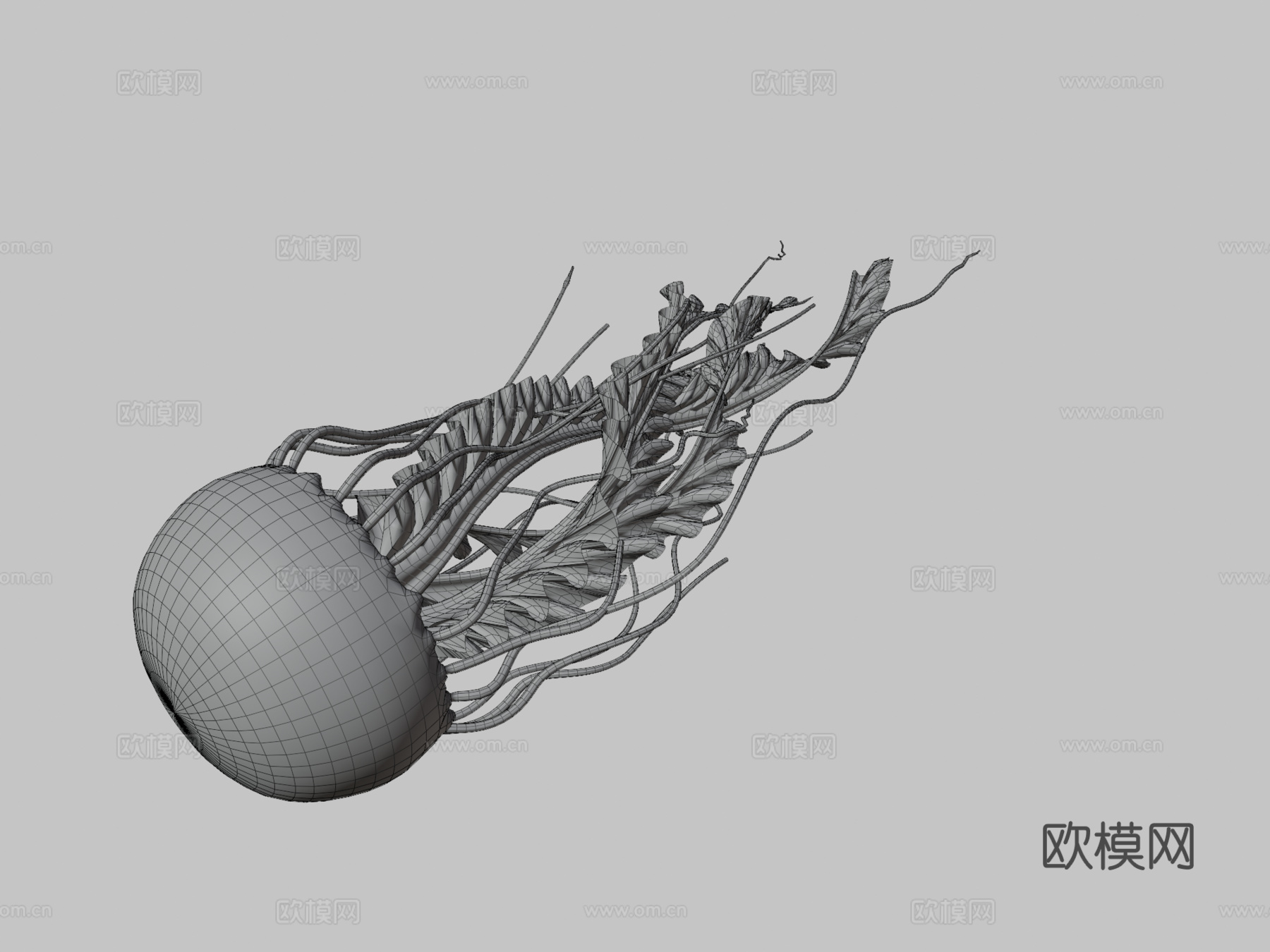 水母_0013d模型