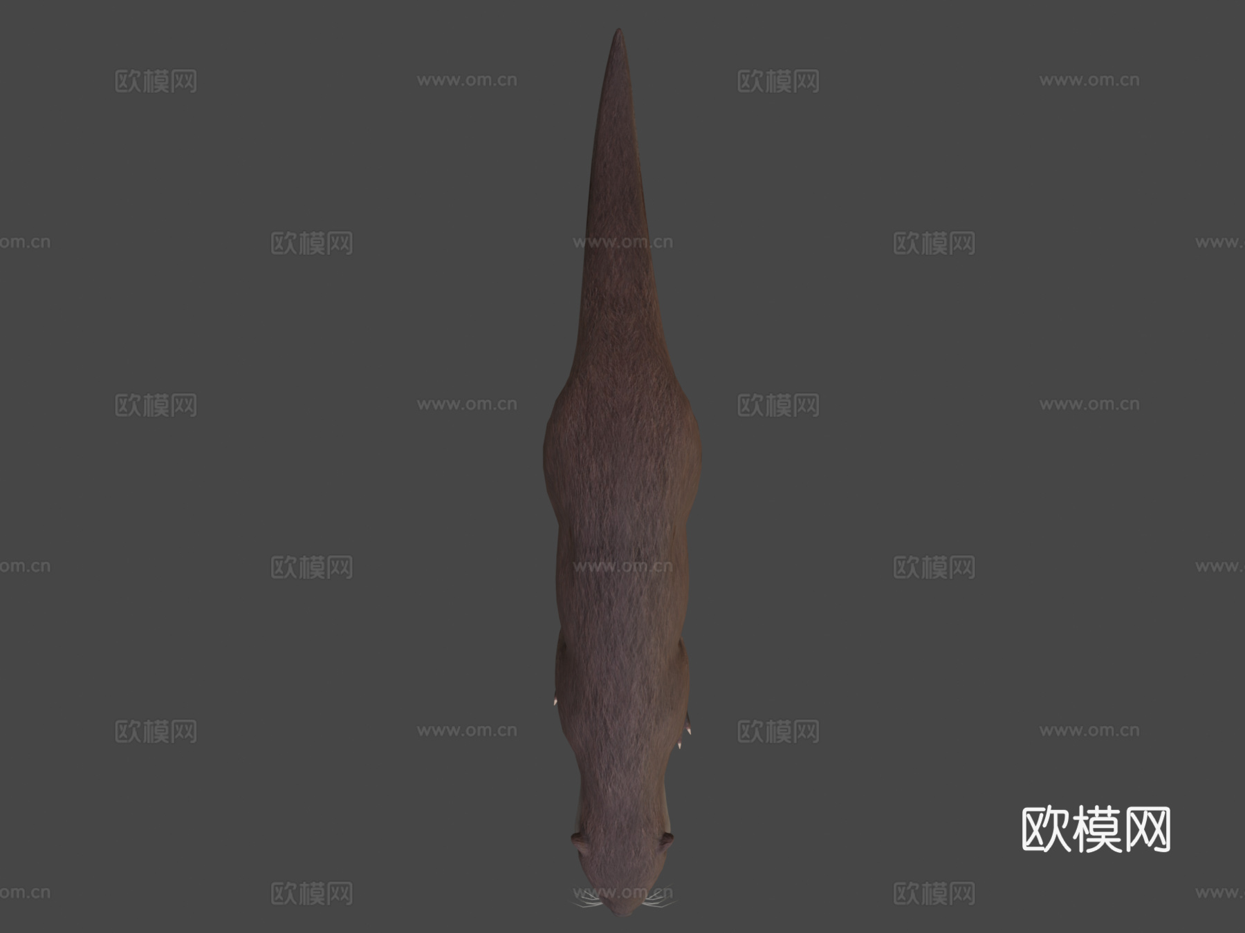 水獭3d模型