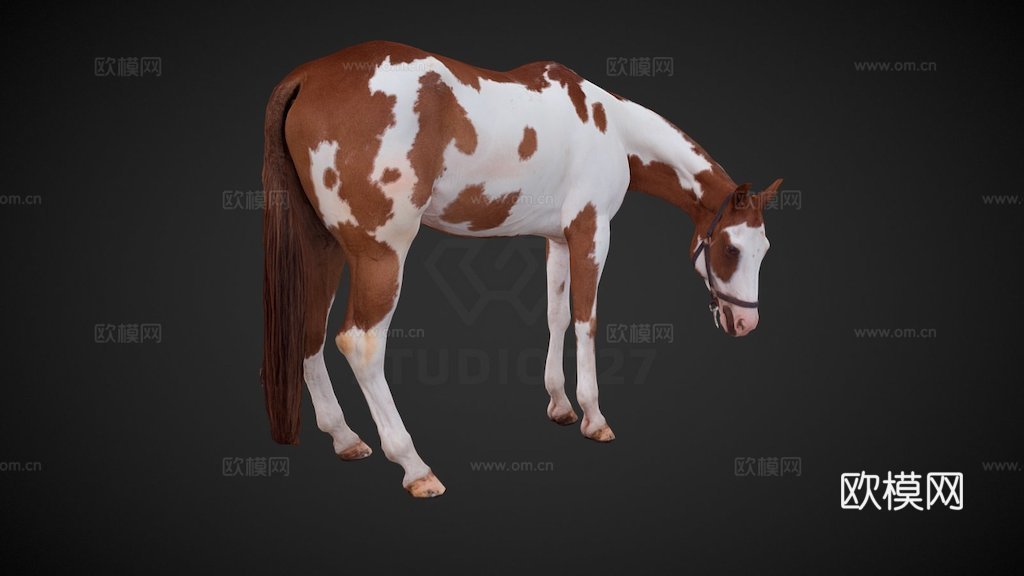 马-姿势53d模型