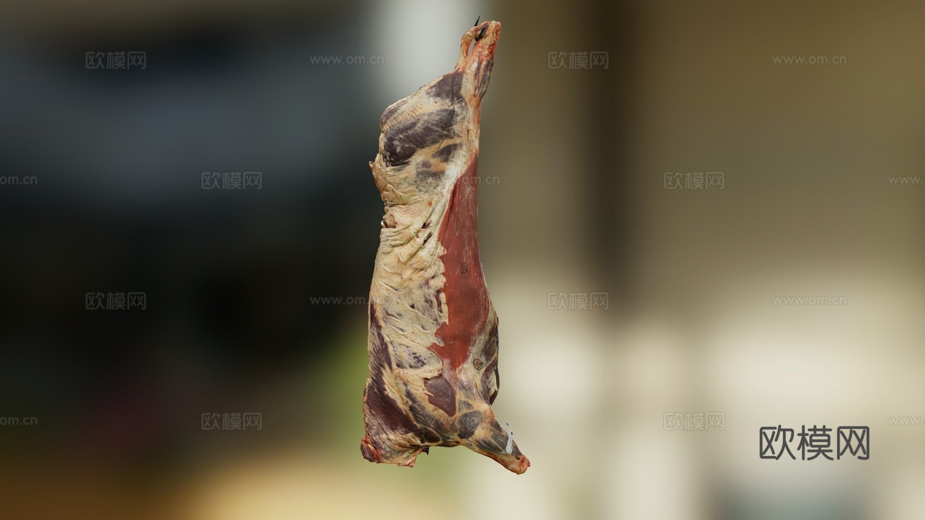 肉胴体3d模型