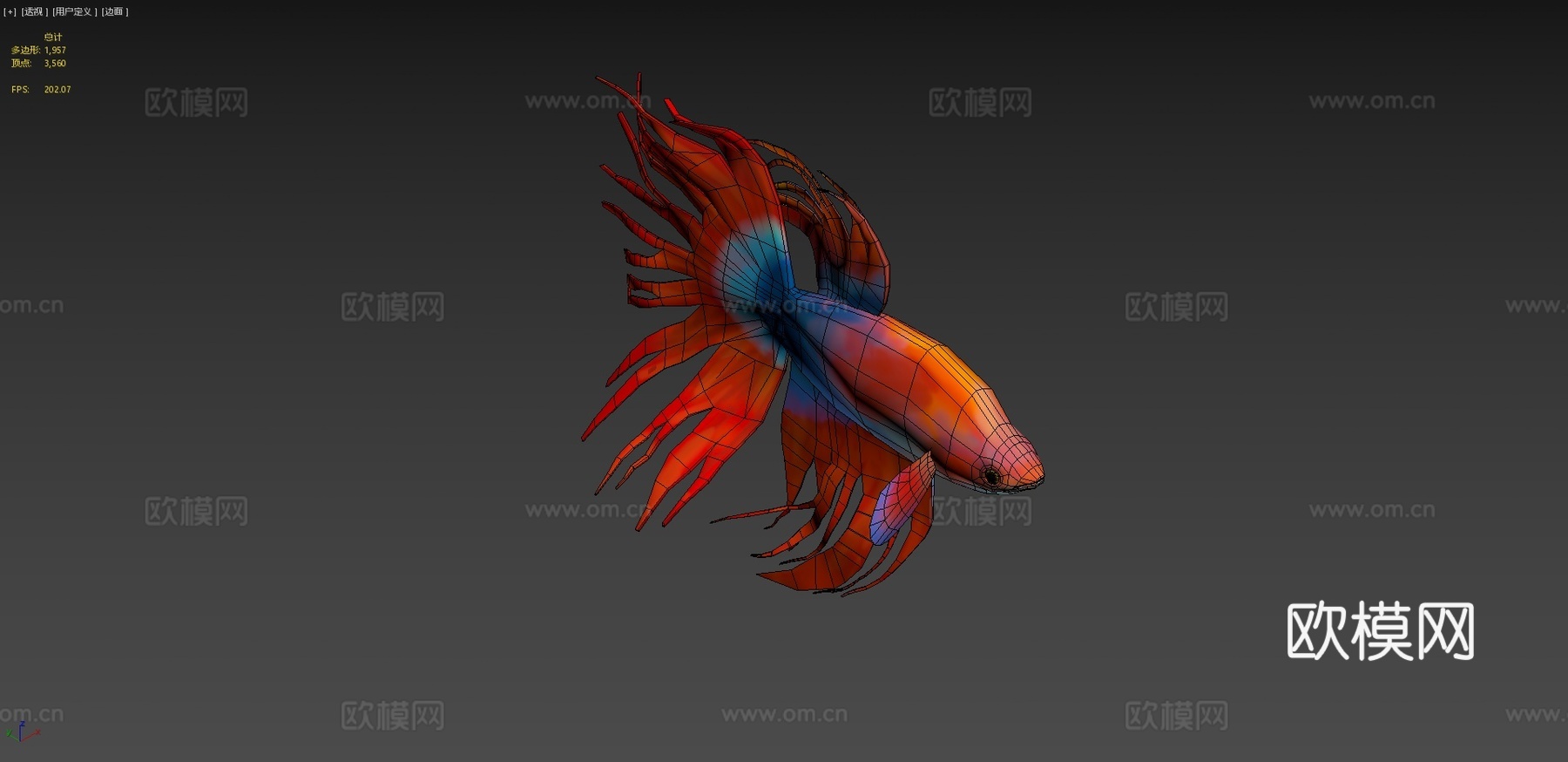 红色斗鱼3d模型