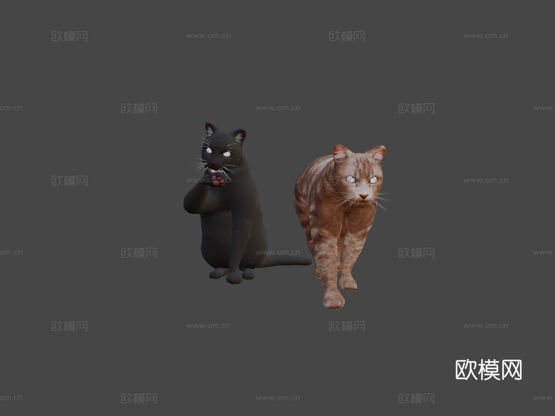 名叫玛吉的猫3d模型