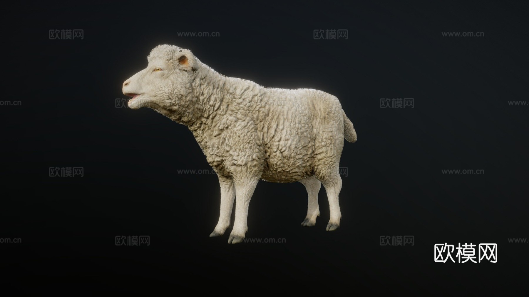 绵羊动画3d模型