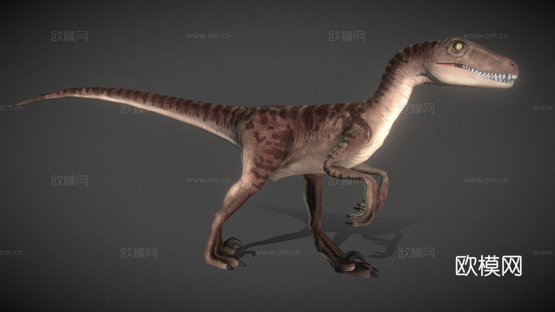 伶盗龙低多边形3d模型