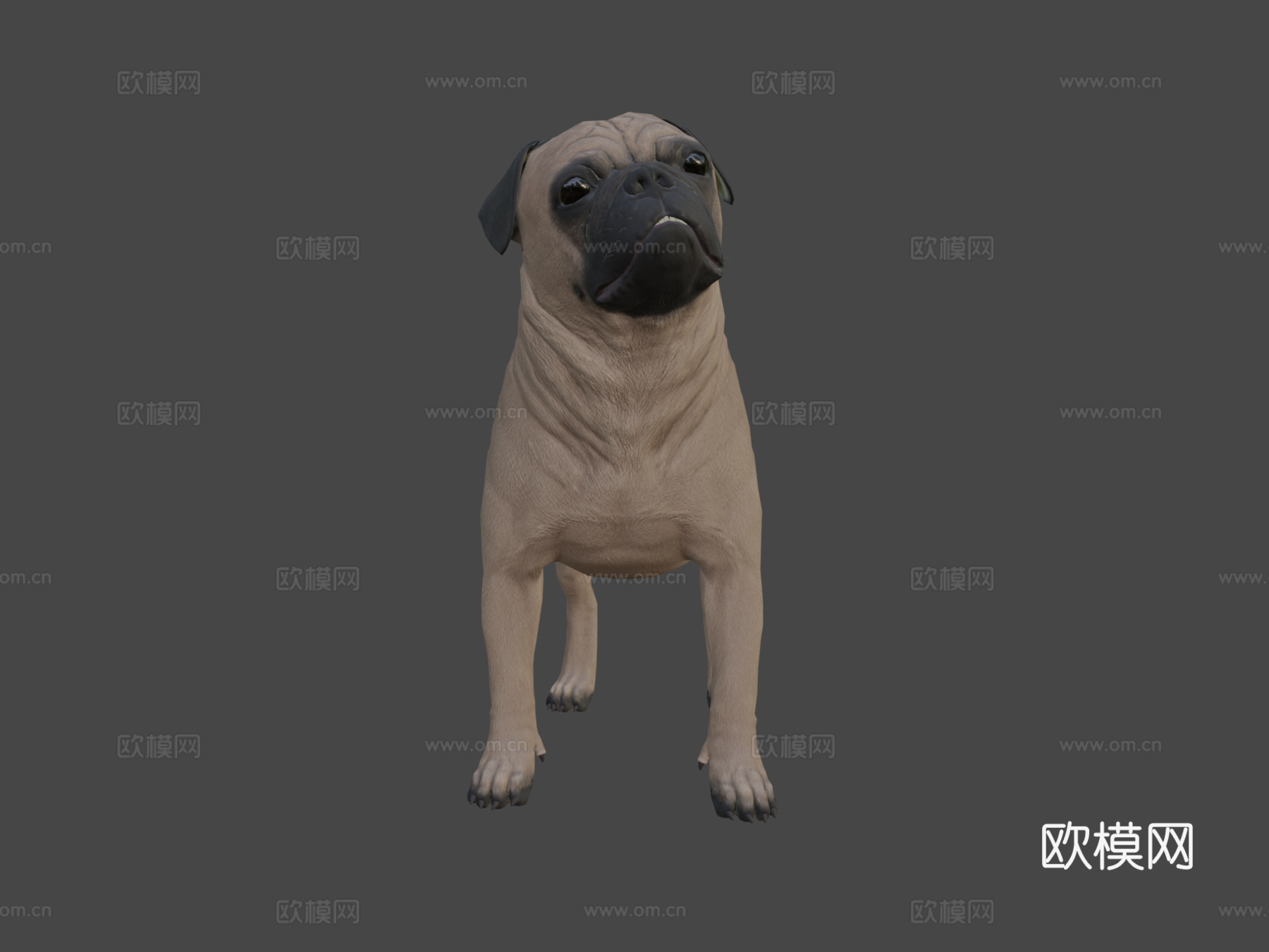 哈巴狗3d模型