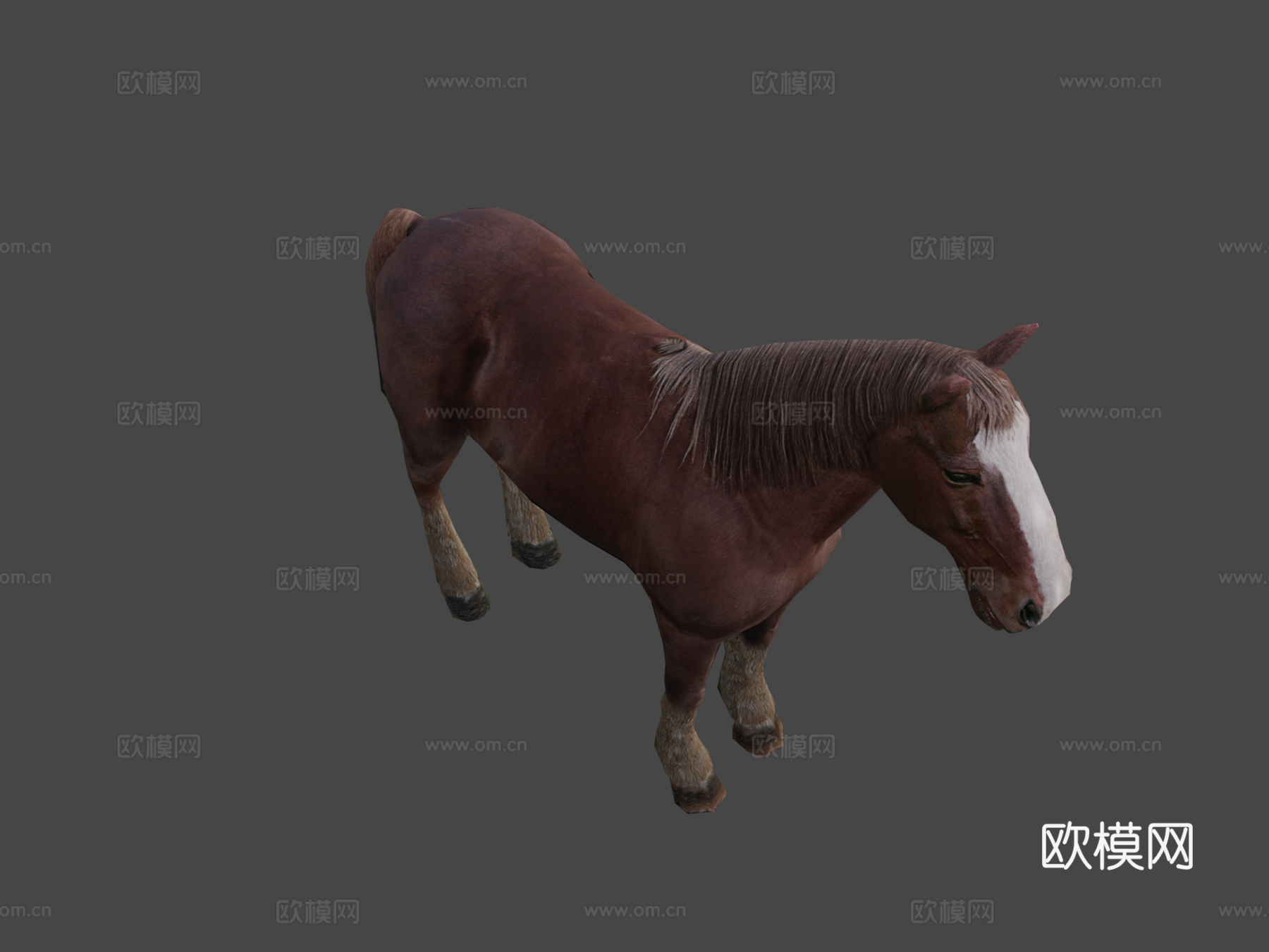 马绑定3d模型