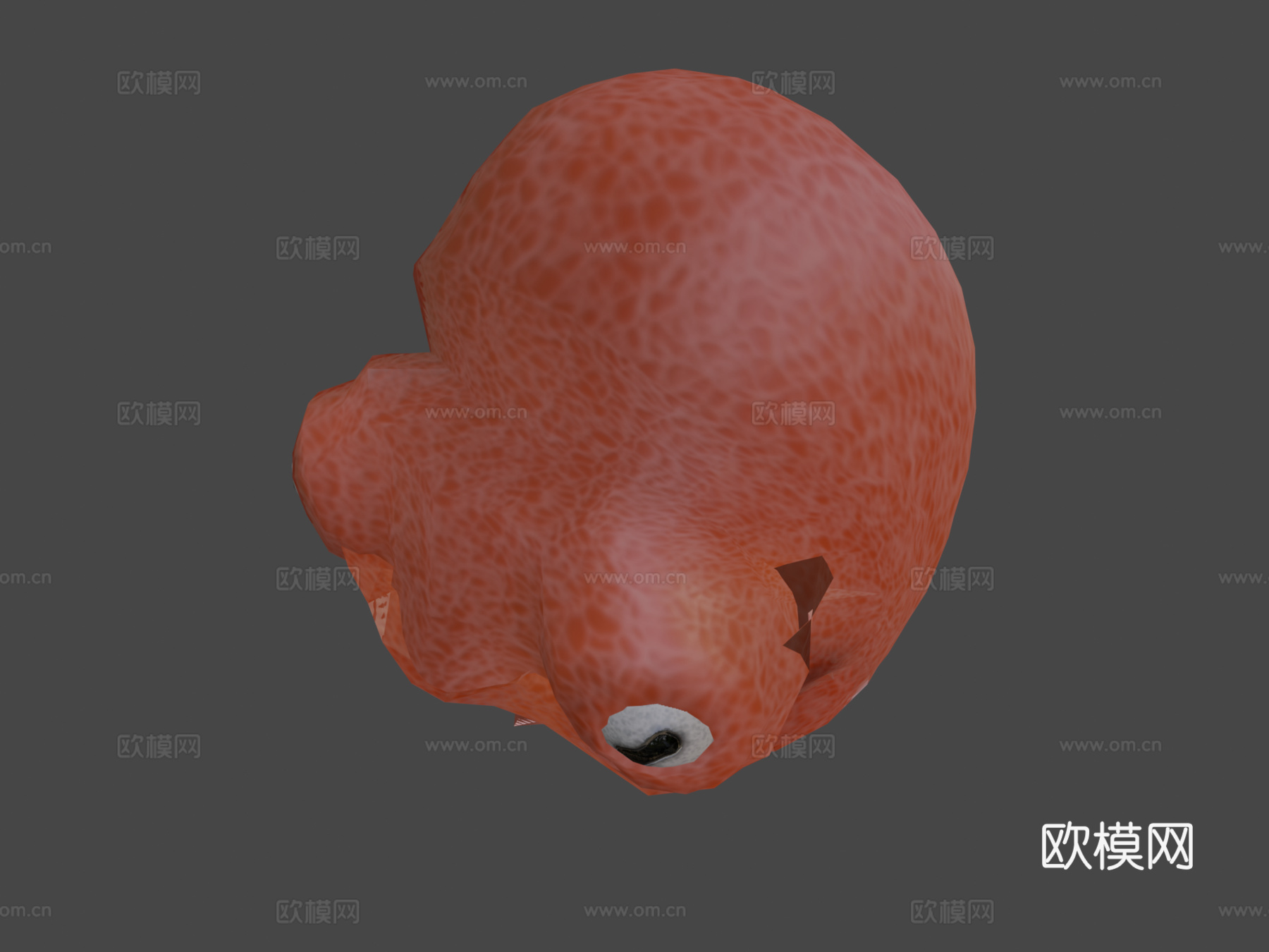 动画章鱼3d模型