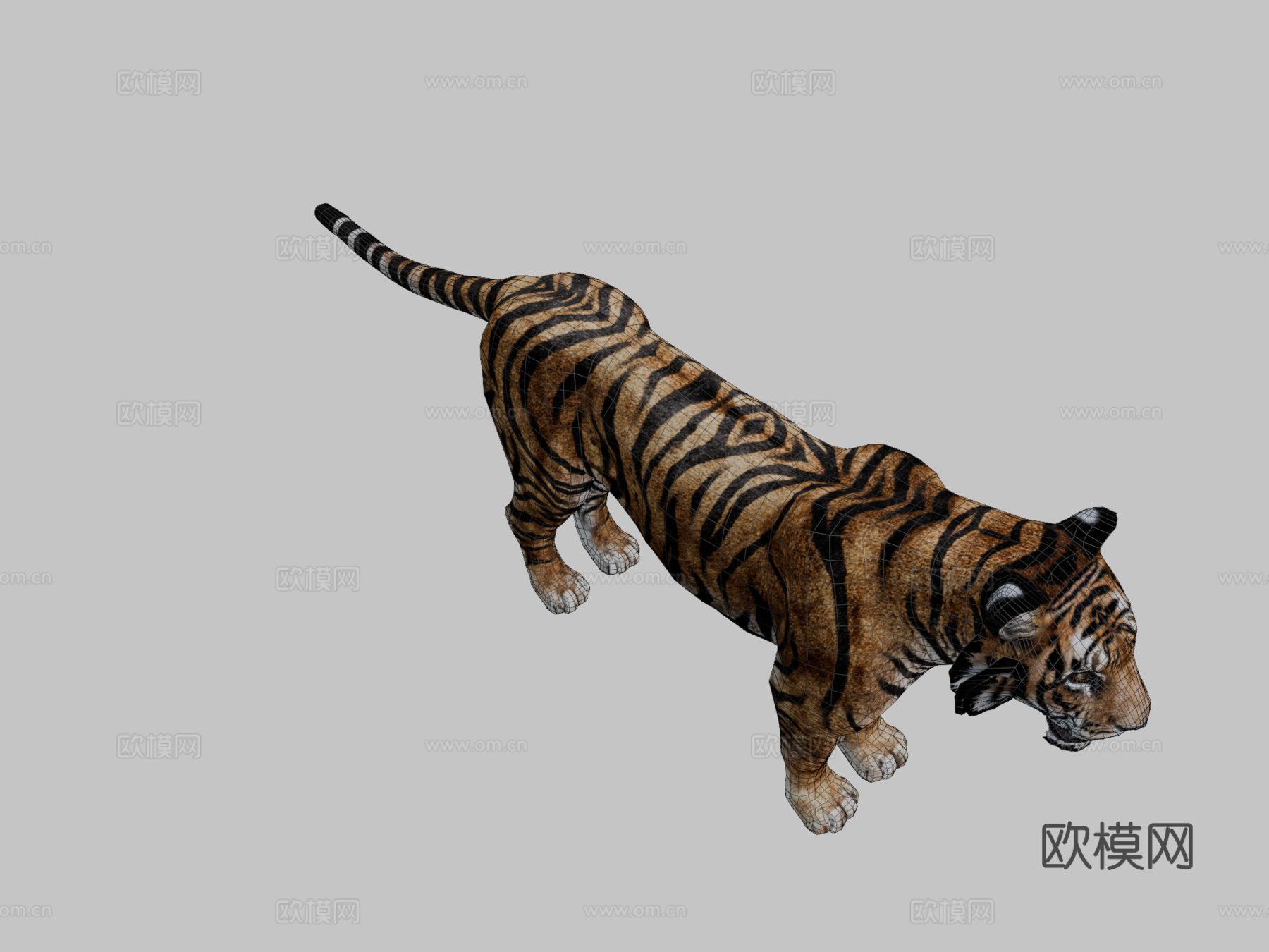 孟加拉虎3d模型
