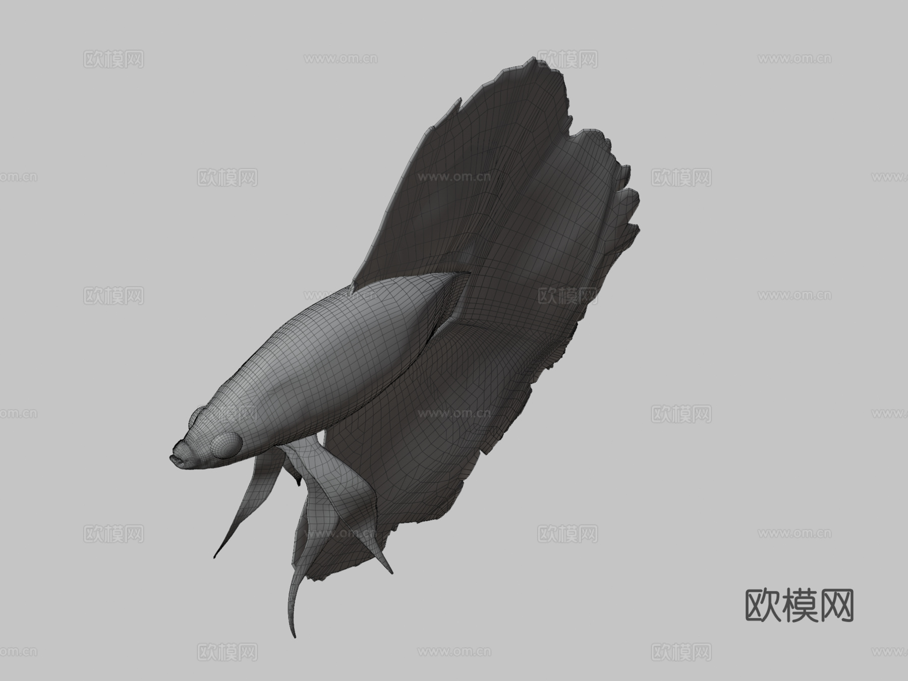 热带鱼23d模型