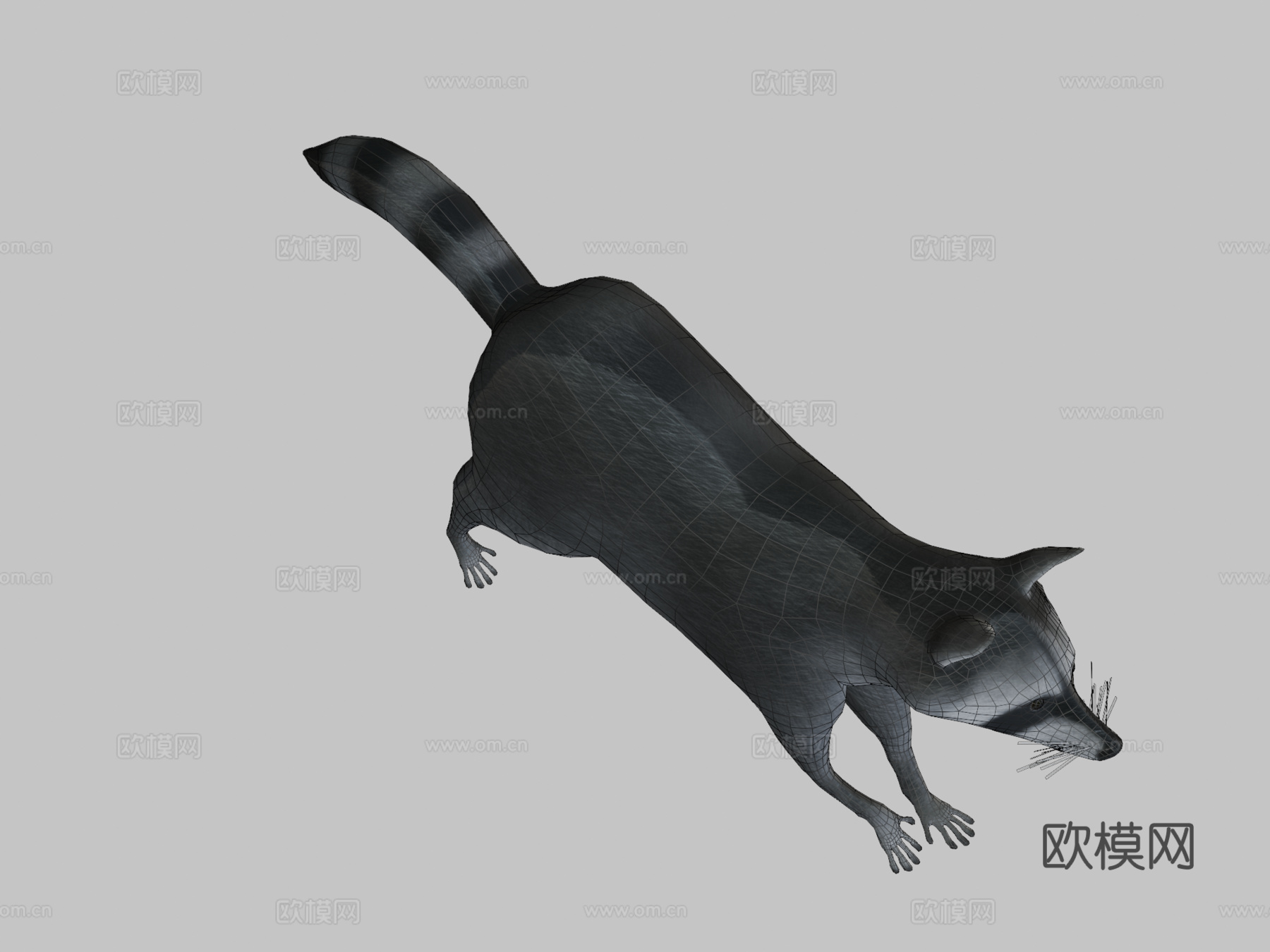 奔跑浣熊动画3d模型