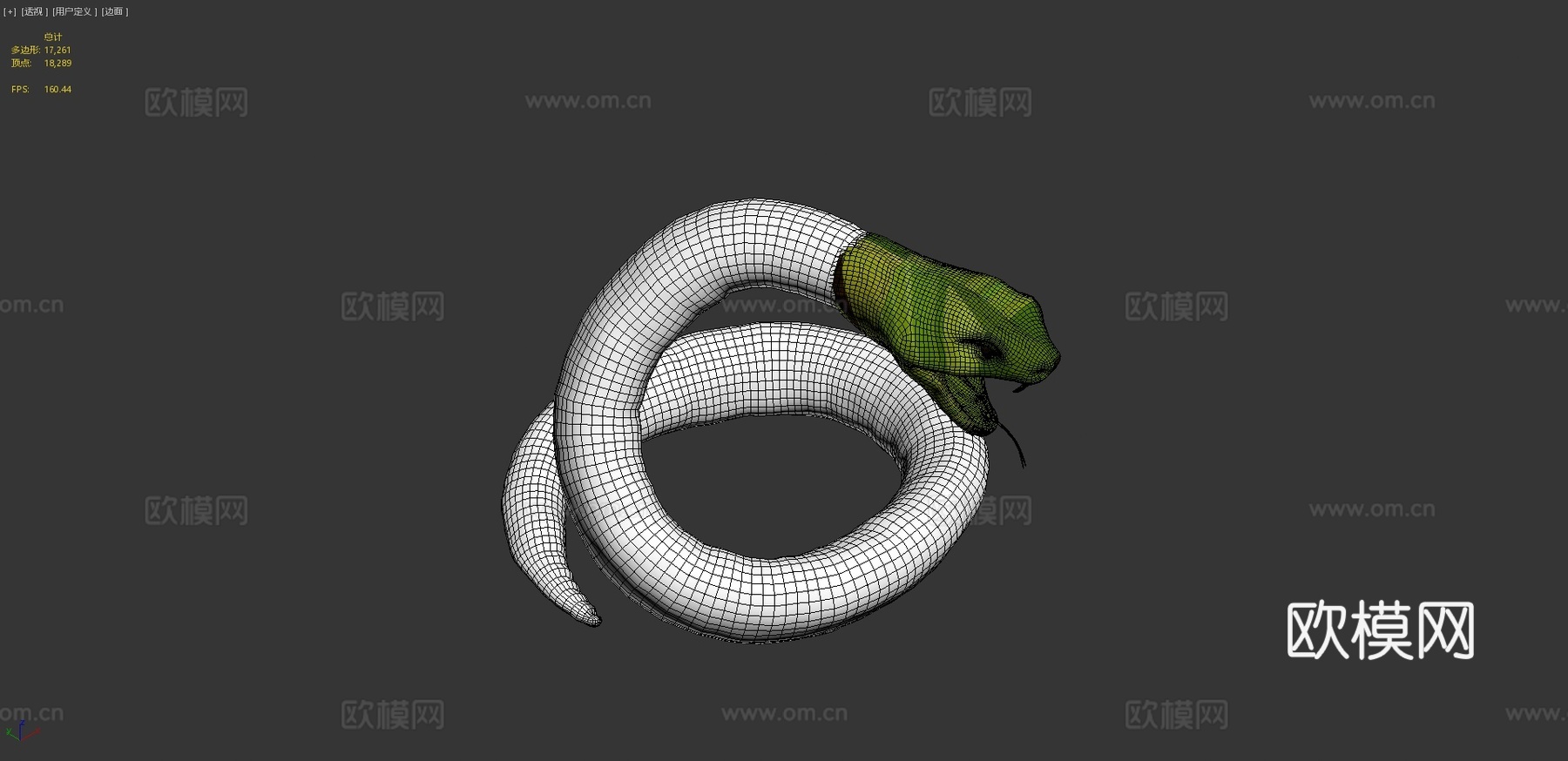 大型绿色攻击性蛇3d模型