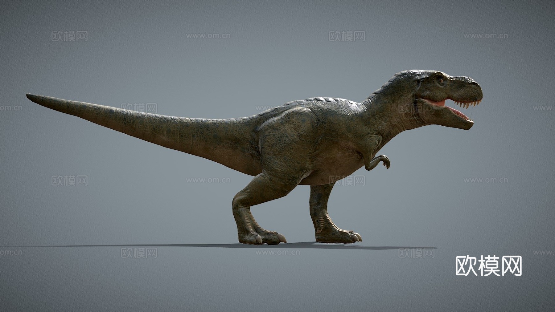 暴龙3.03d模型