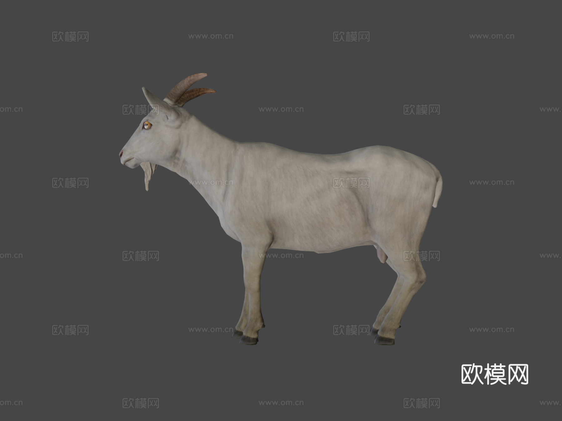 公山羊3d模型