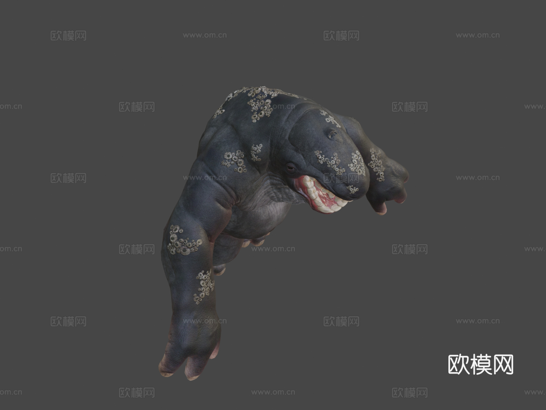 乌尔萨塞图斯动画3d模型