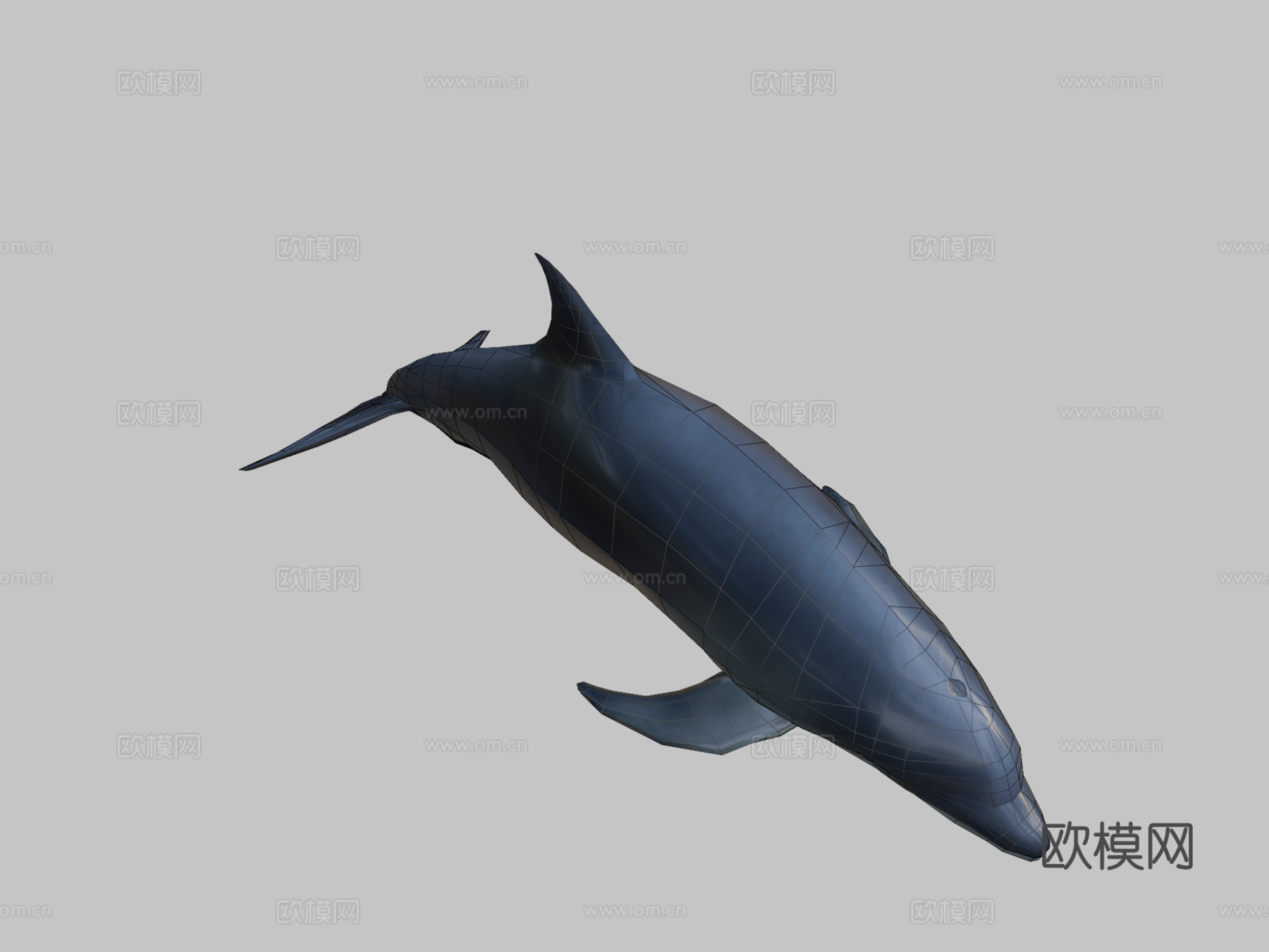游戏级海豚3d模型