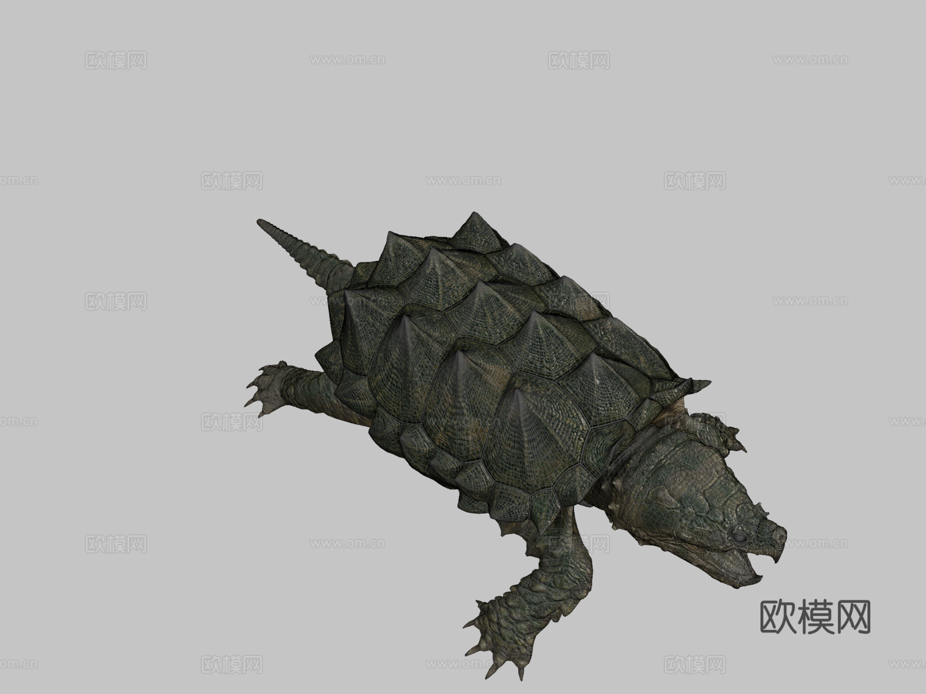 鳄龟3d模型