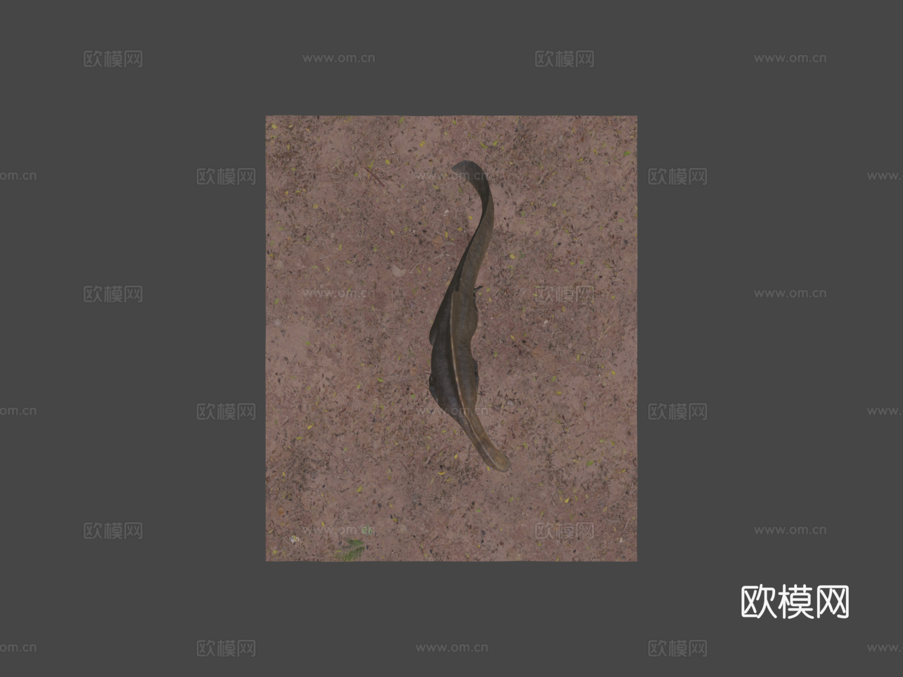 游泳棘龙3d模型