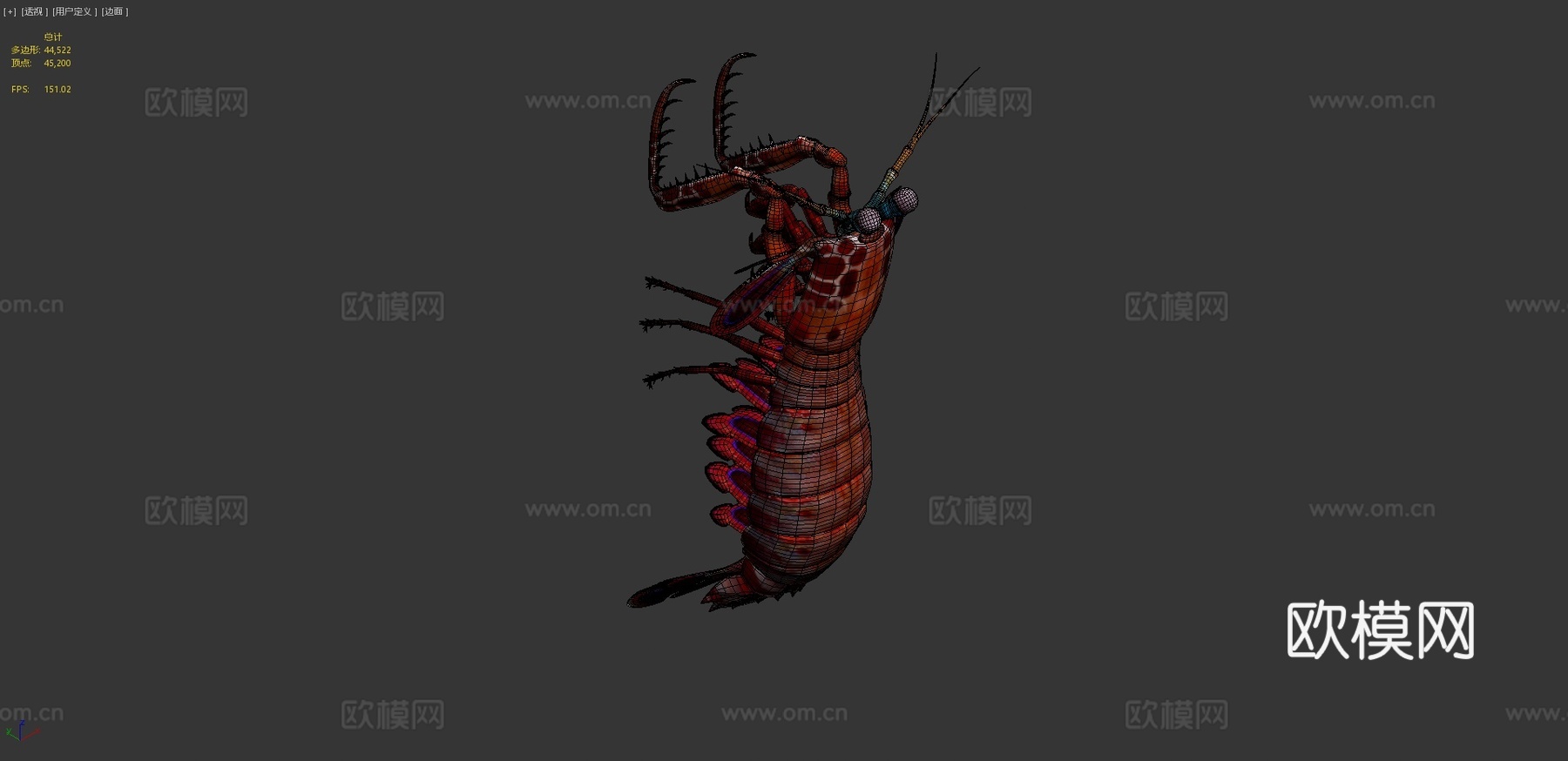 螳螂虾3d模型