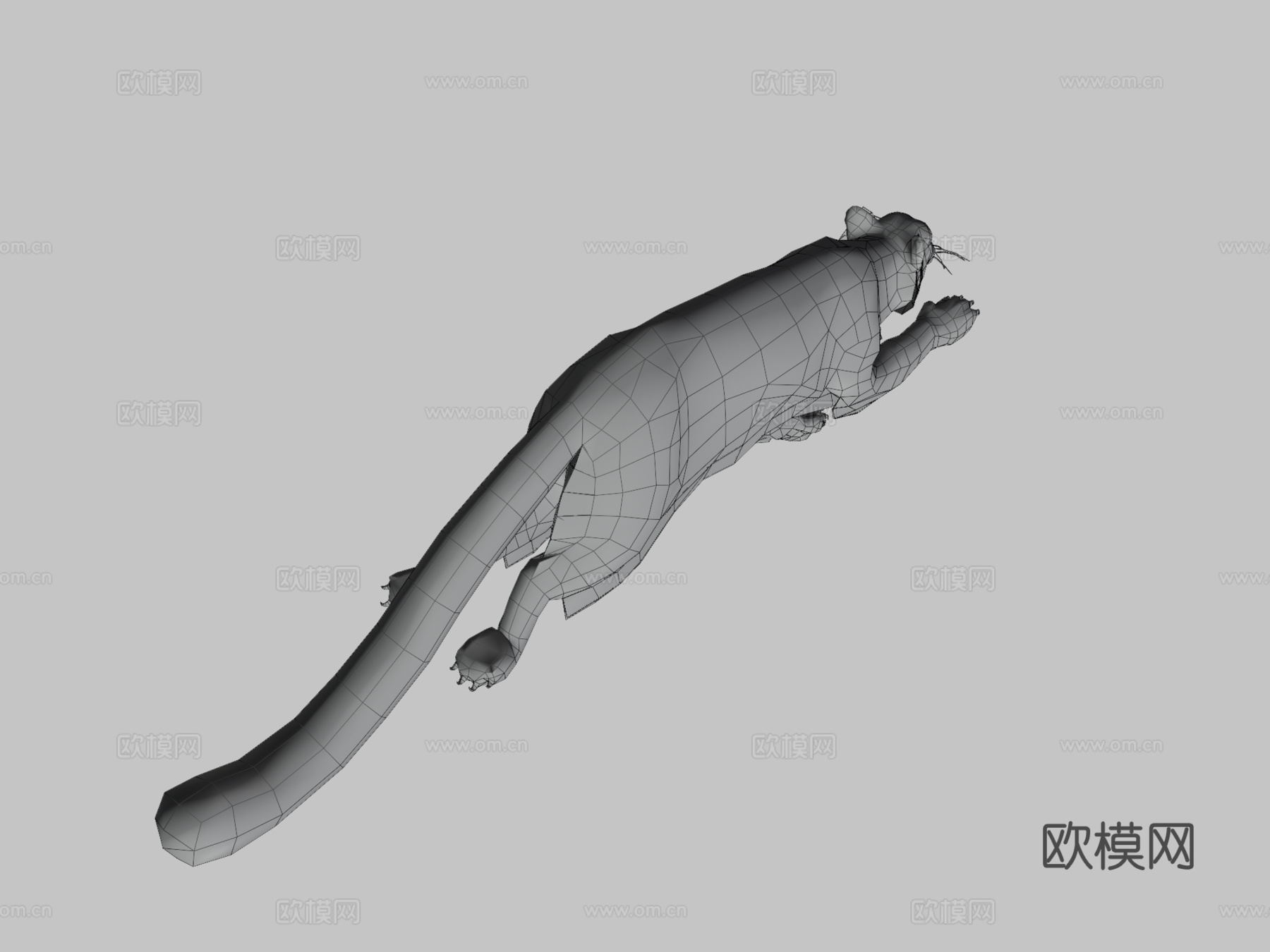 豹子奔跑动画3d模型