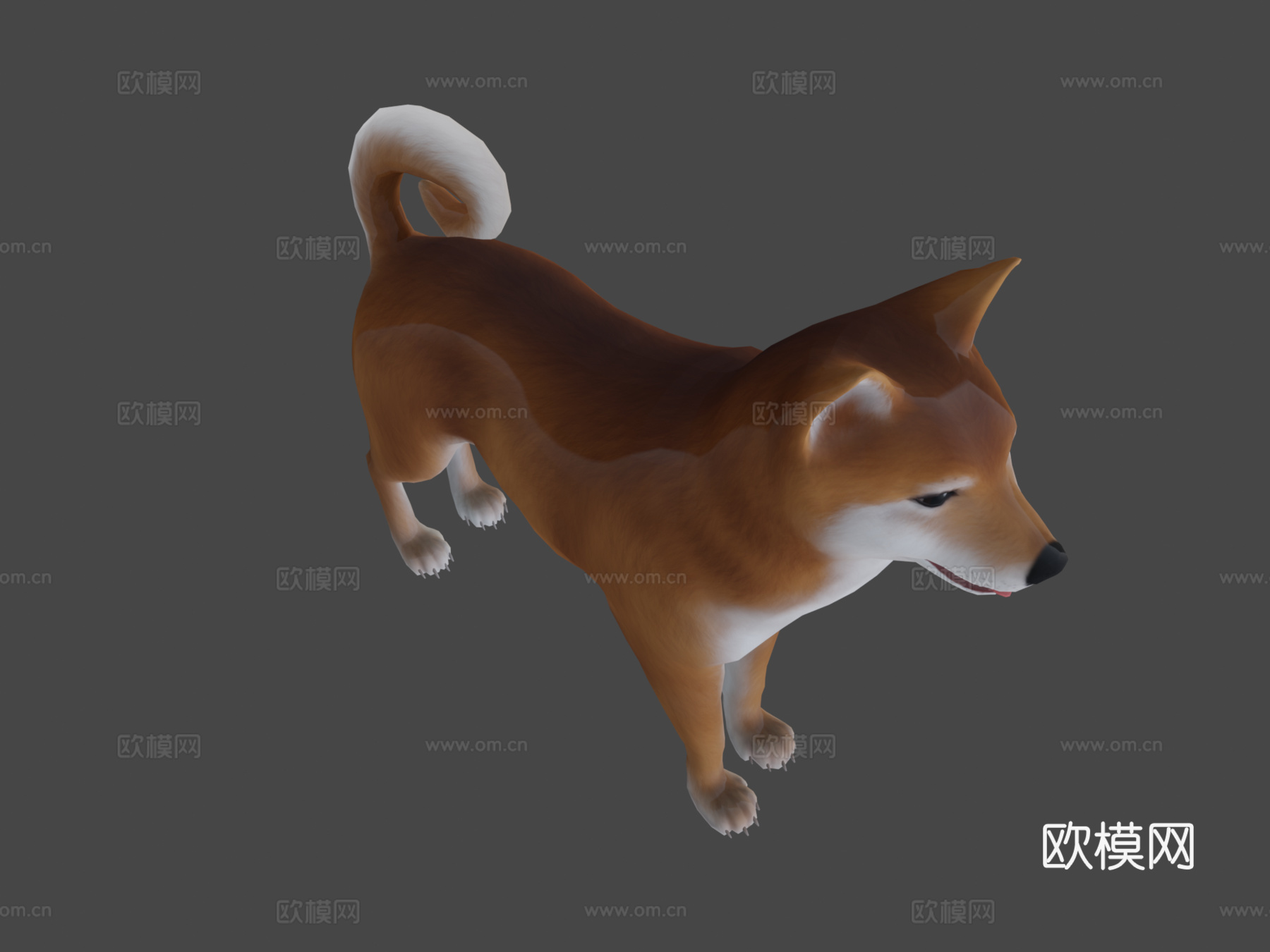 柴犬3d模型