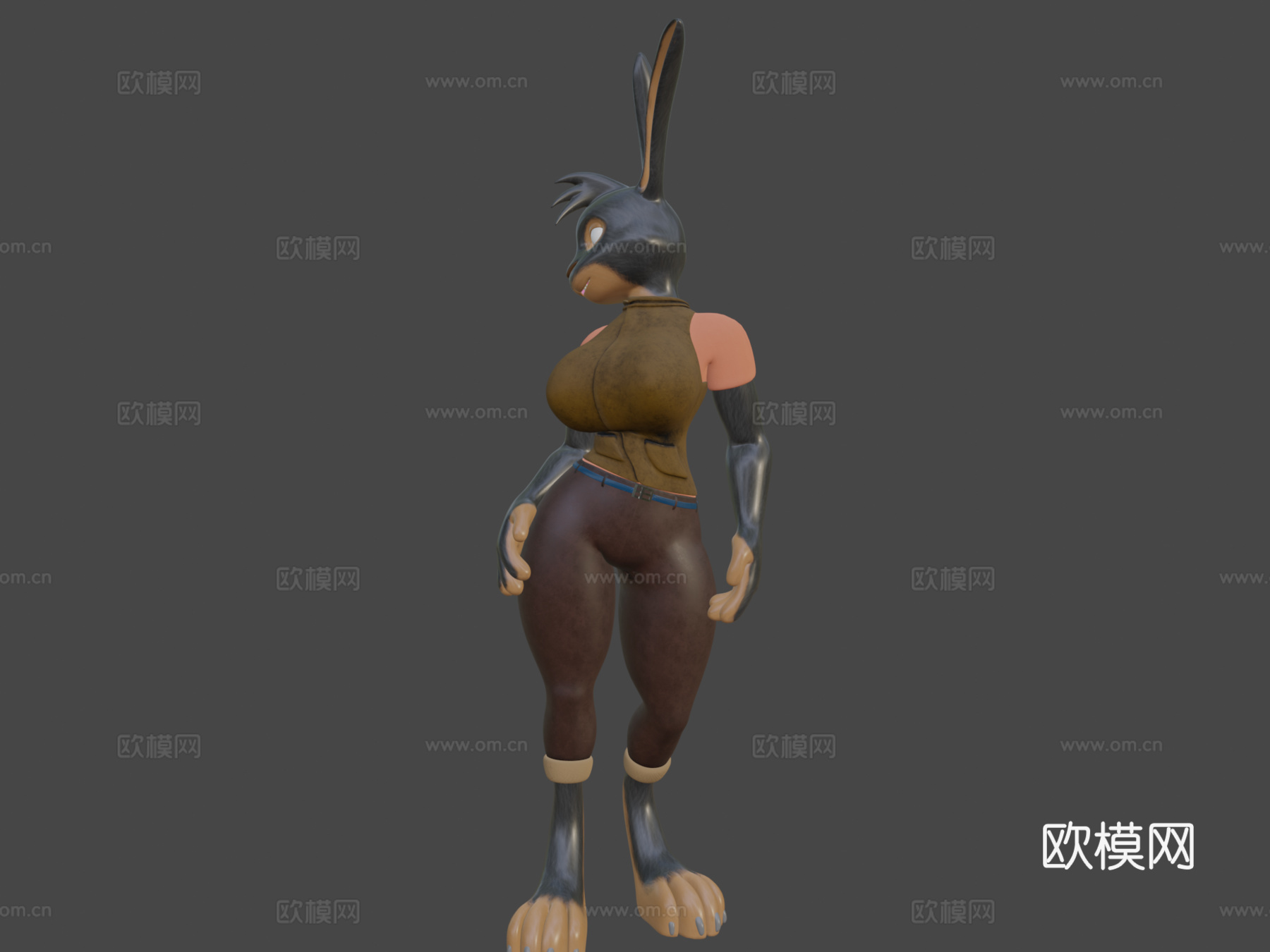 迈尔蒂3d模型