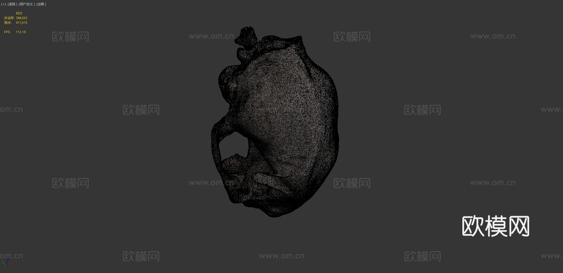 猫头骨3d模型