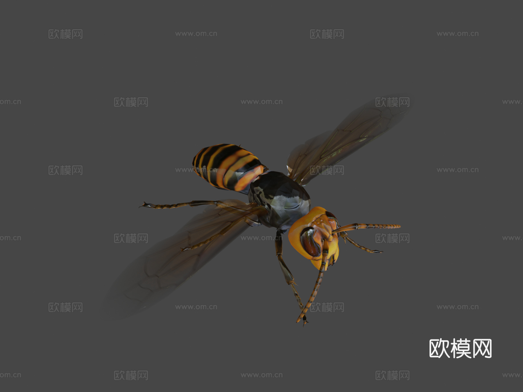 悬浮黄蜂3d模型