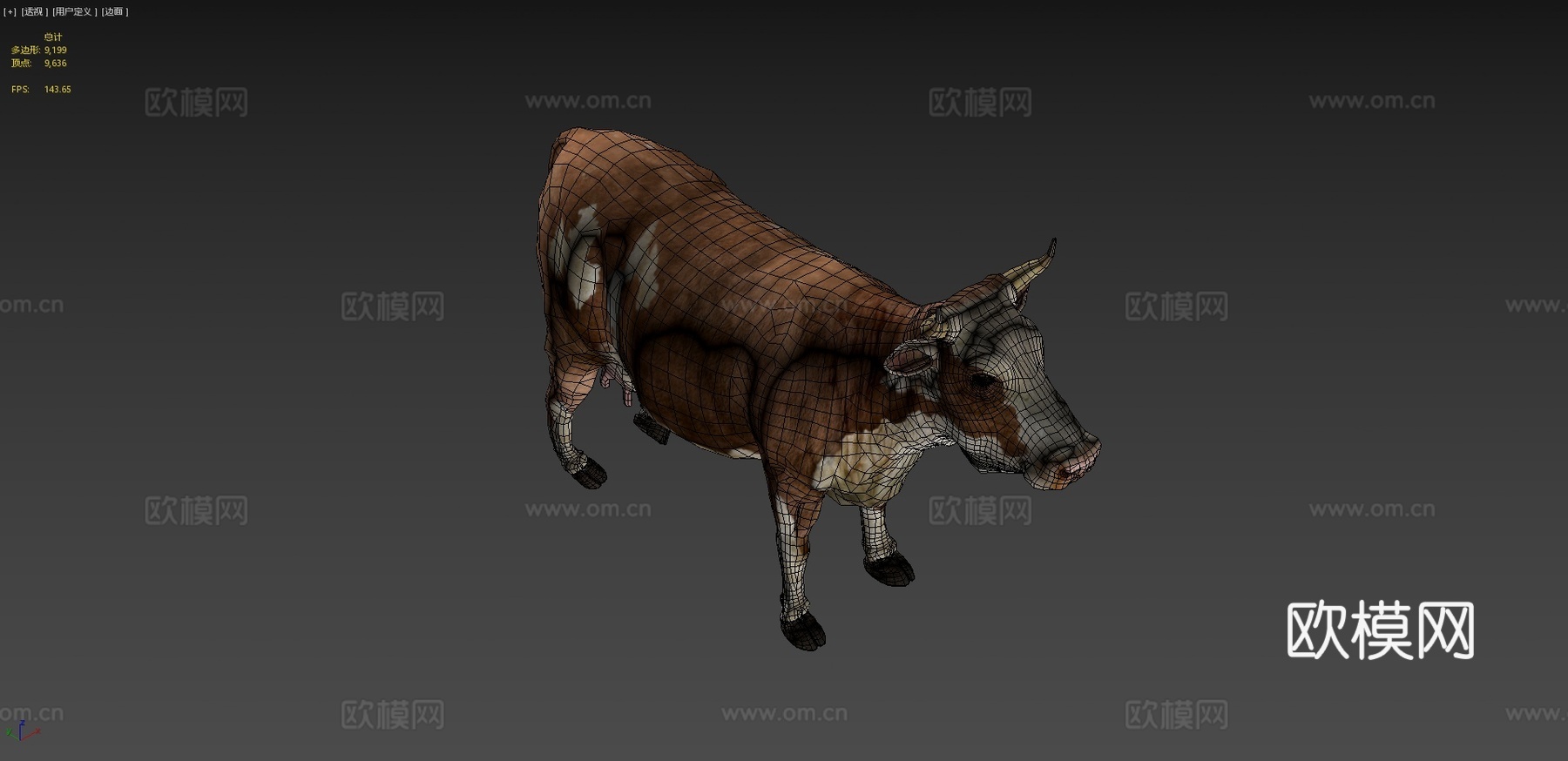 牛-公牛3d模型