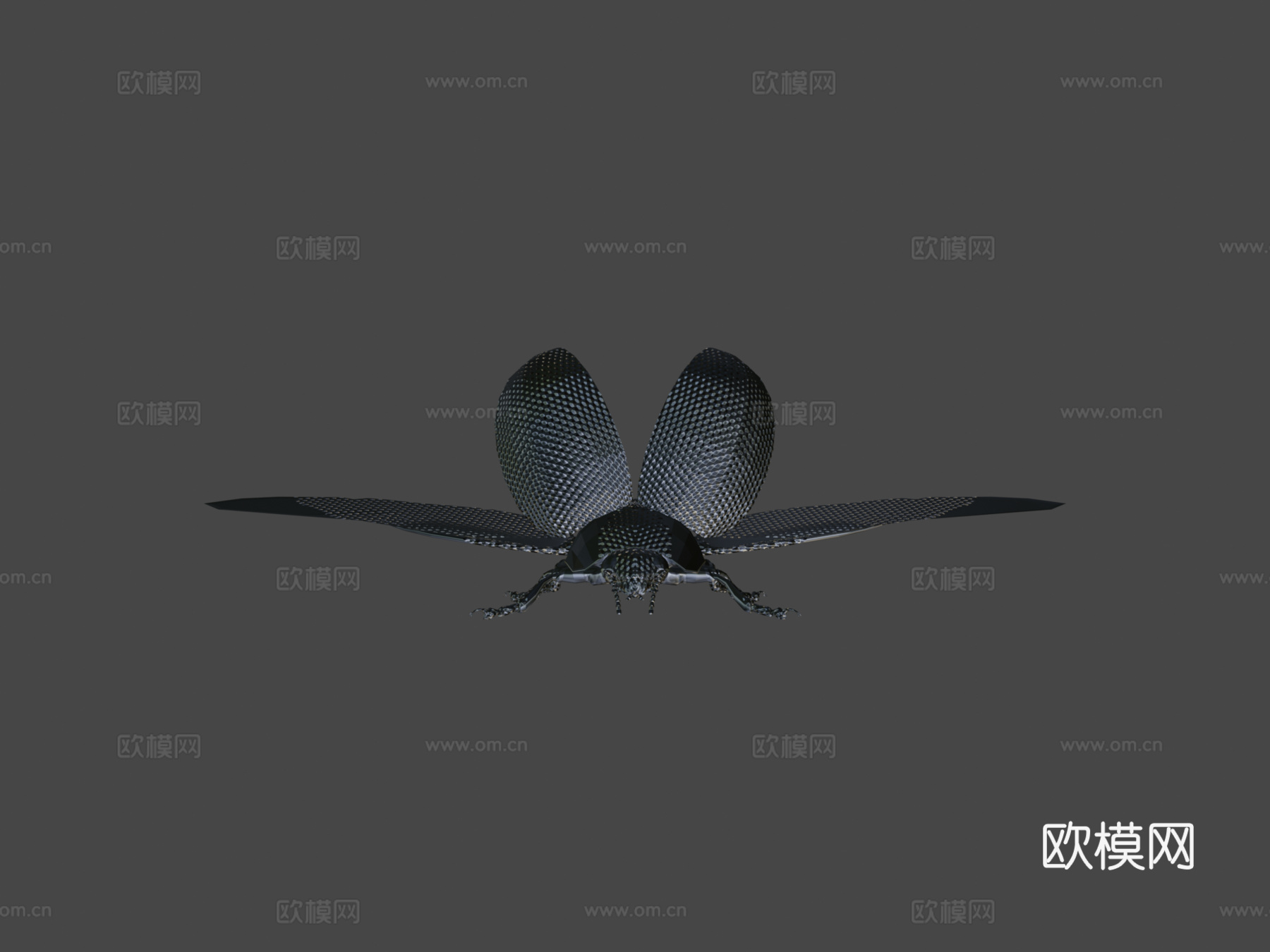 动画瓢虫3d模型