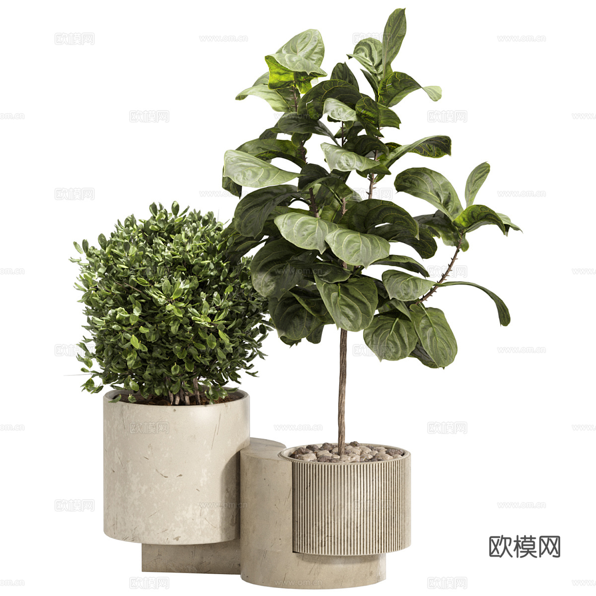 新中式侘寂绿植盆栽3d模型
