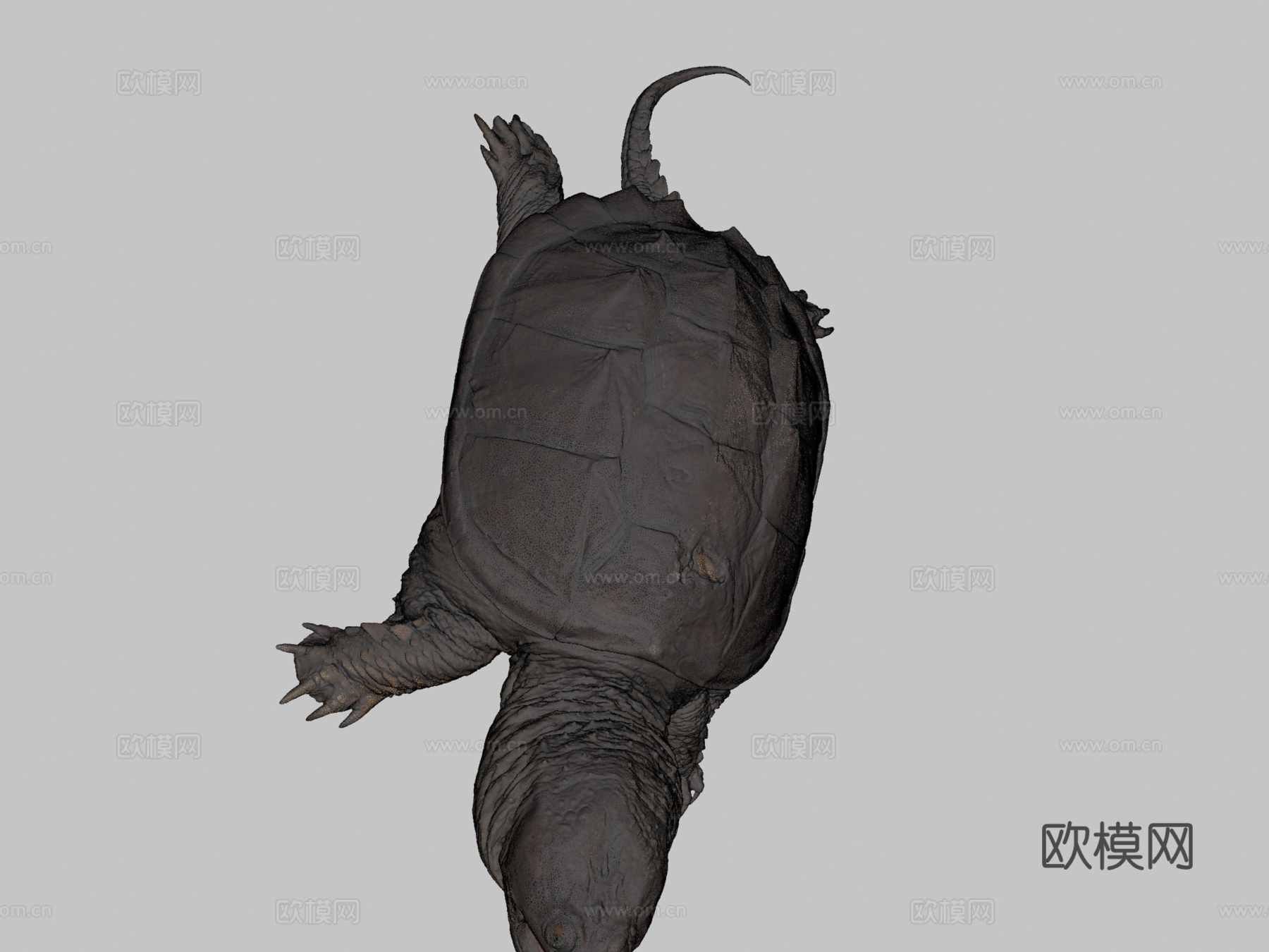 鳄龟3d模型