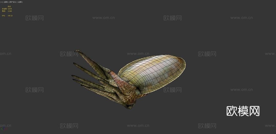 乌贼3d模型下载(渲染图4)