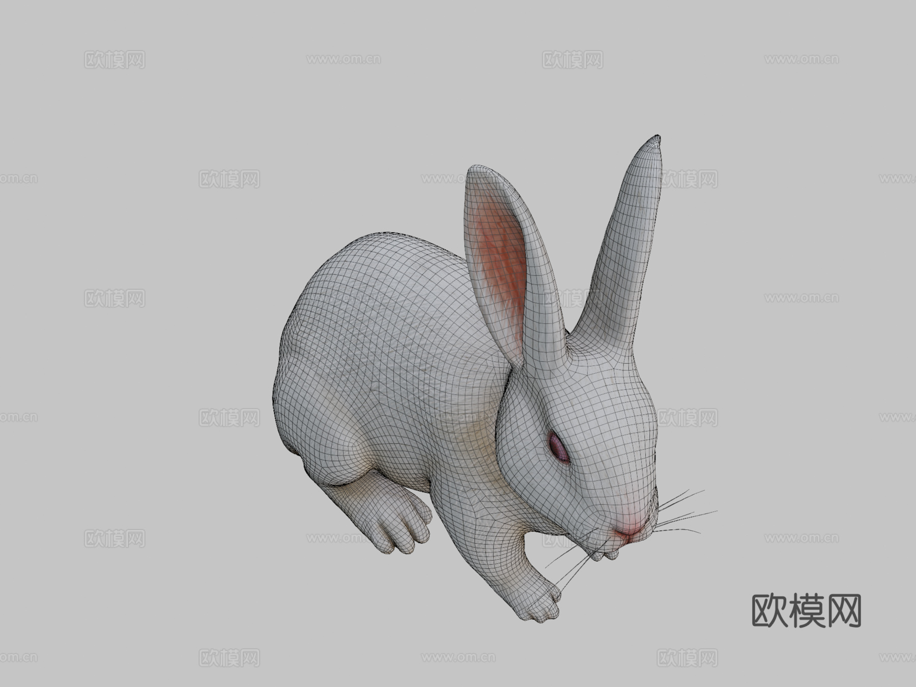 兔子3d模型