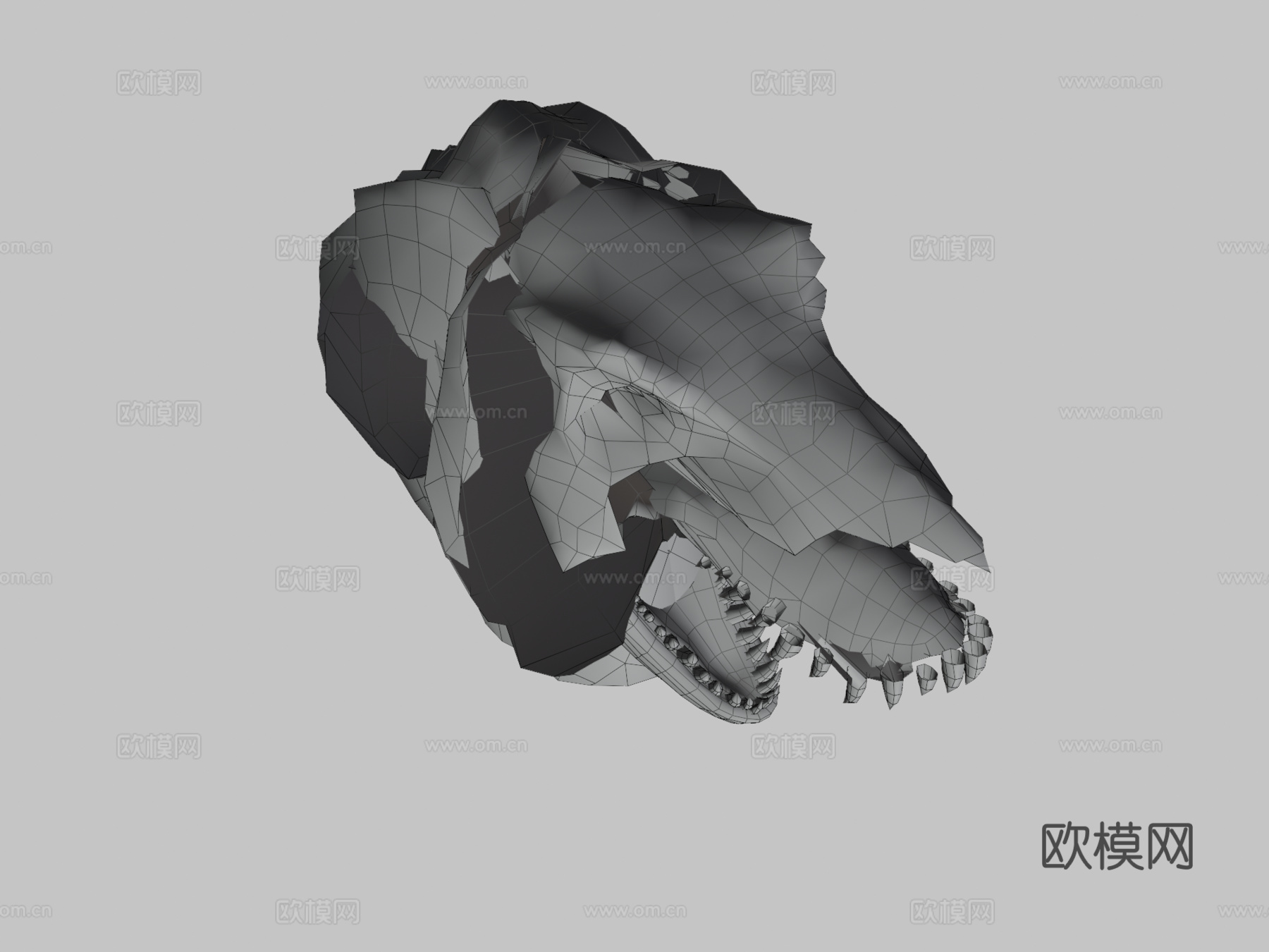 动画兰达林霸王龙!3d模型
